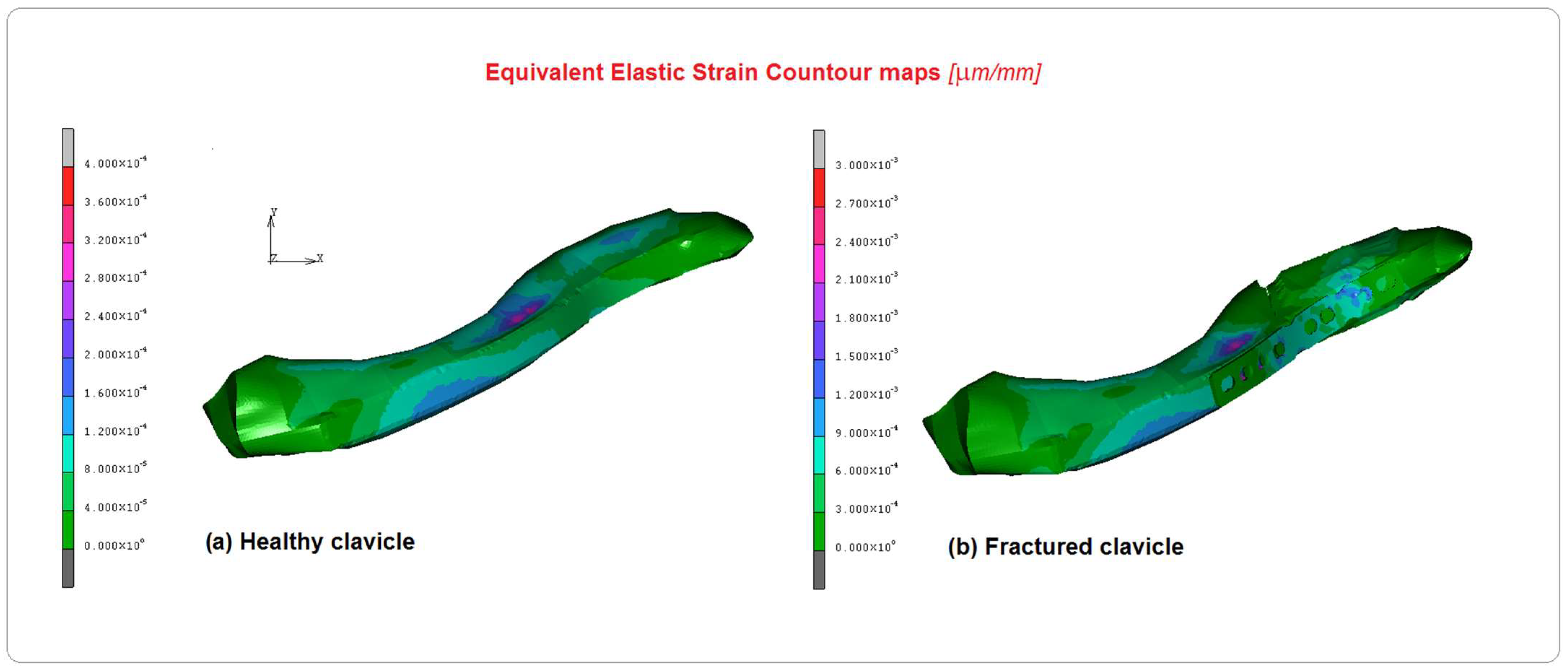 Bioengineering 10 01402 g008 Bioengineering 10 01402 g008