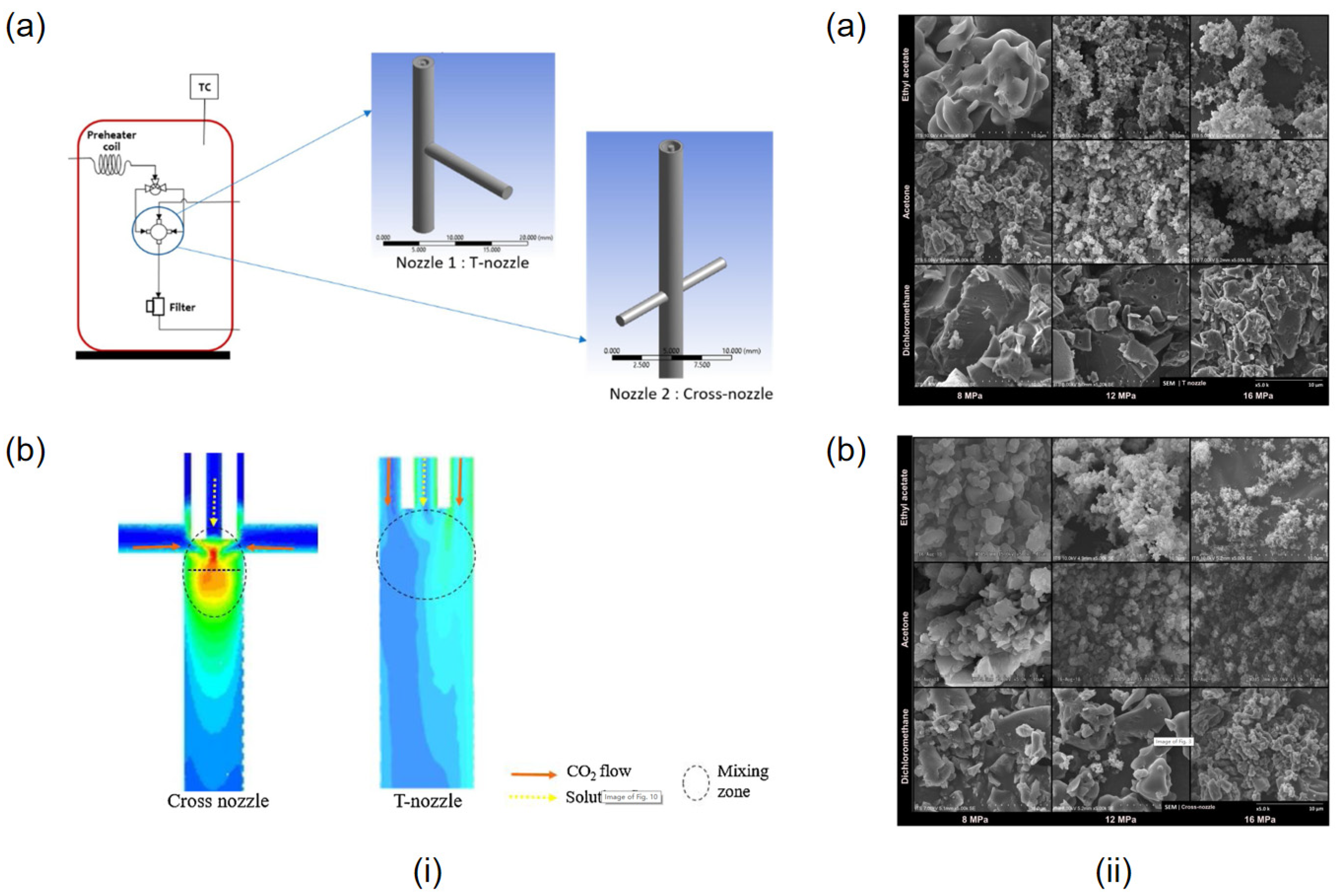 Bioengineering 10 01404 g008