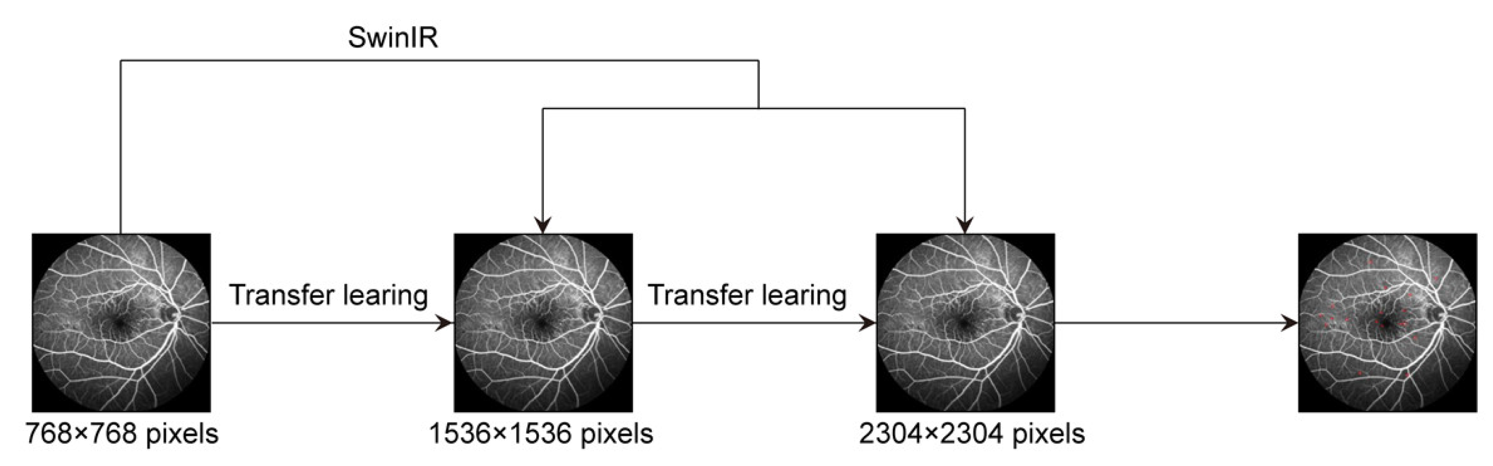 Bioengineering 10 01405 g006
