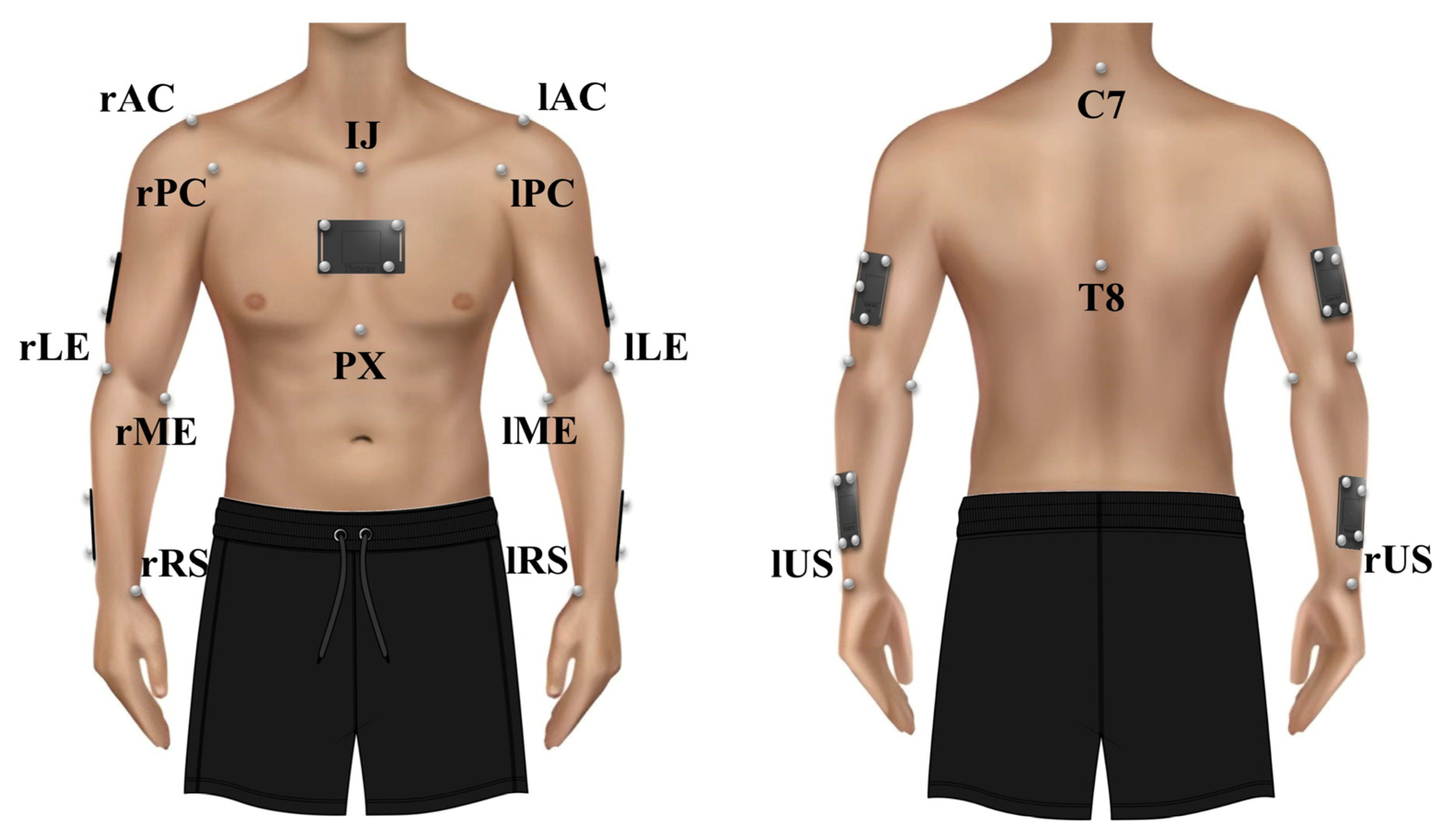 Bioengineering 10 01409 g002