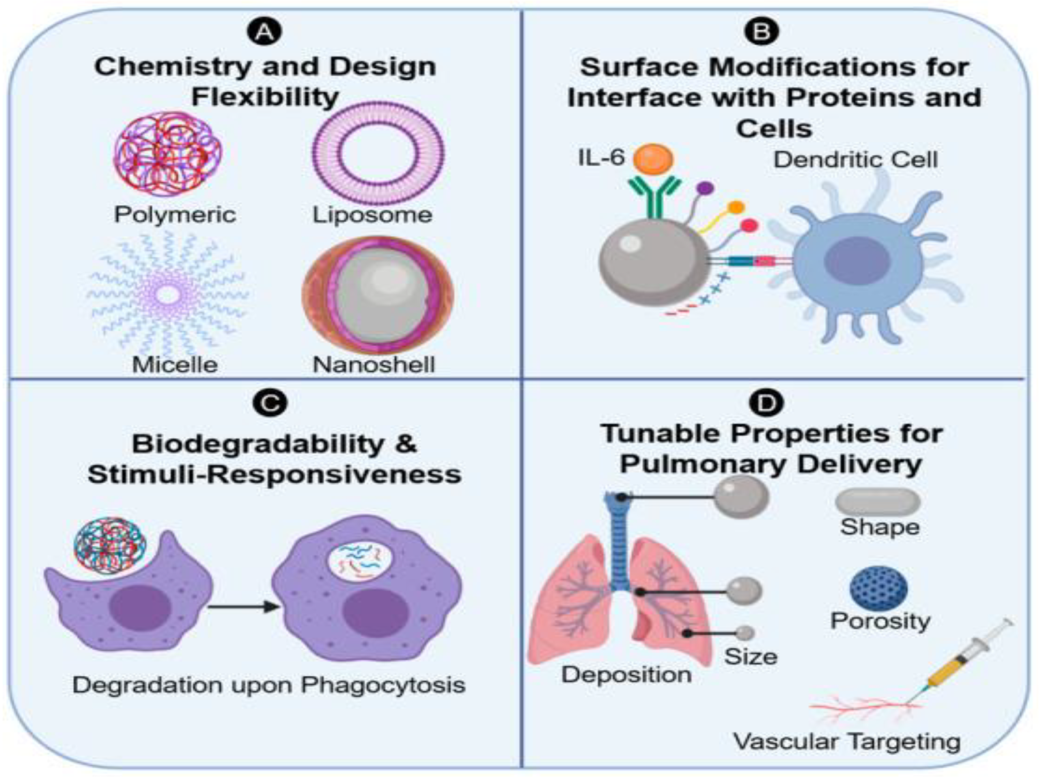 Bioengineering 10 01411 g002
