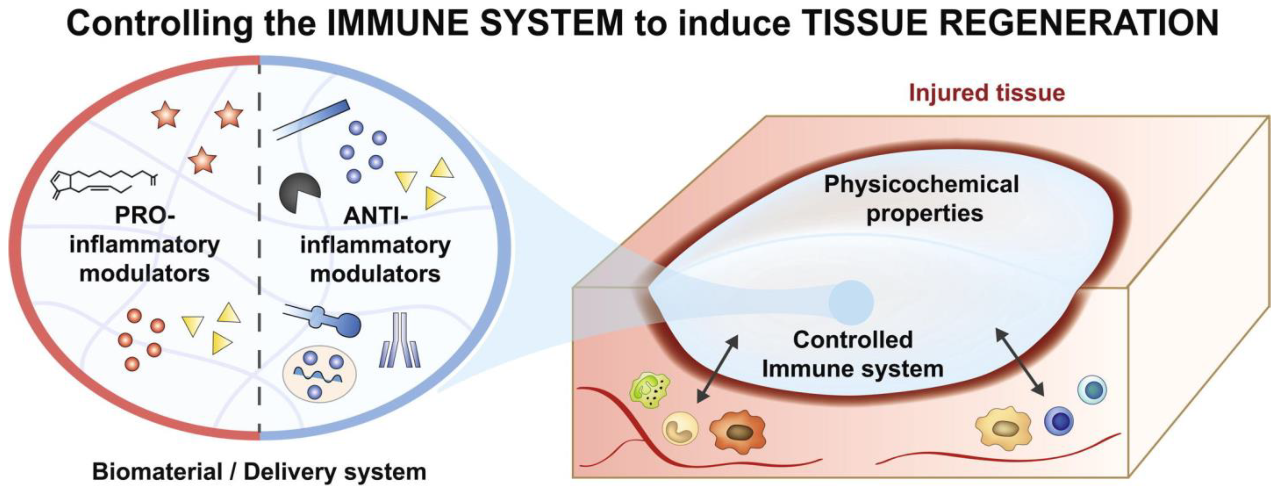 Bioengineering 10 01411 g003