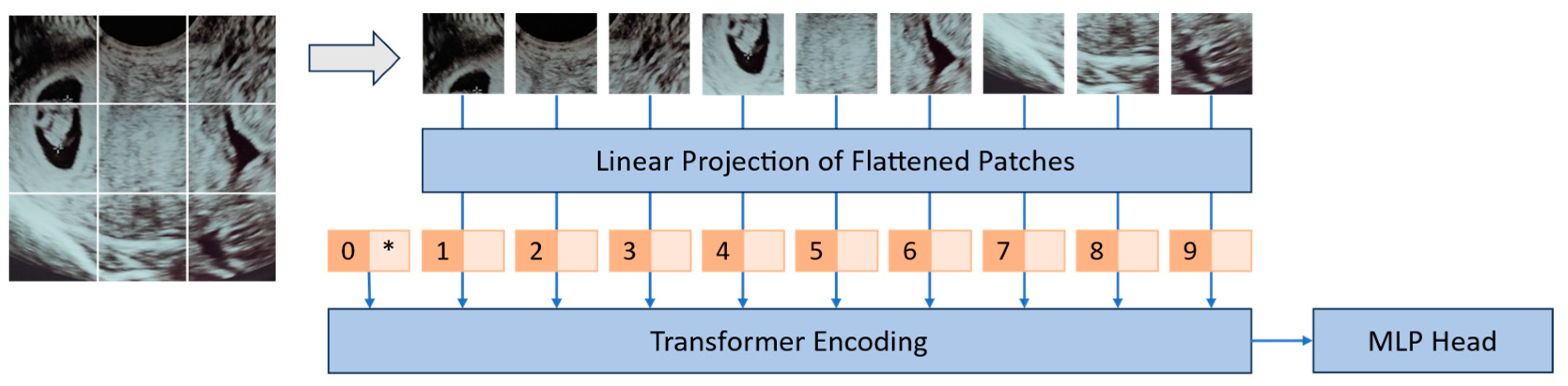 https://www.mdpi.com/bioengineering/bioengineering-10-01435/article_deploy/html/images/bioengineering-10-01435-g002.png