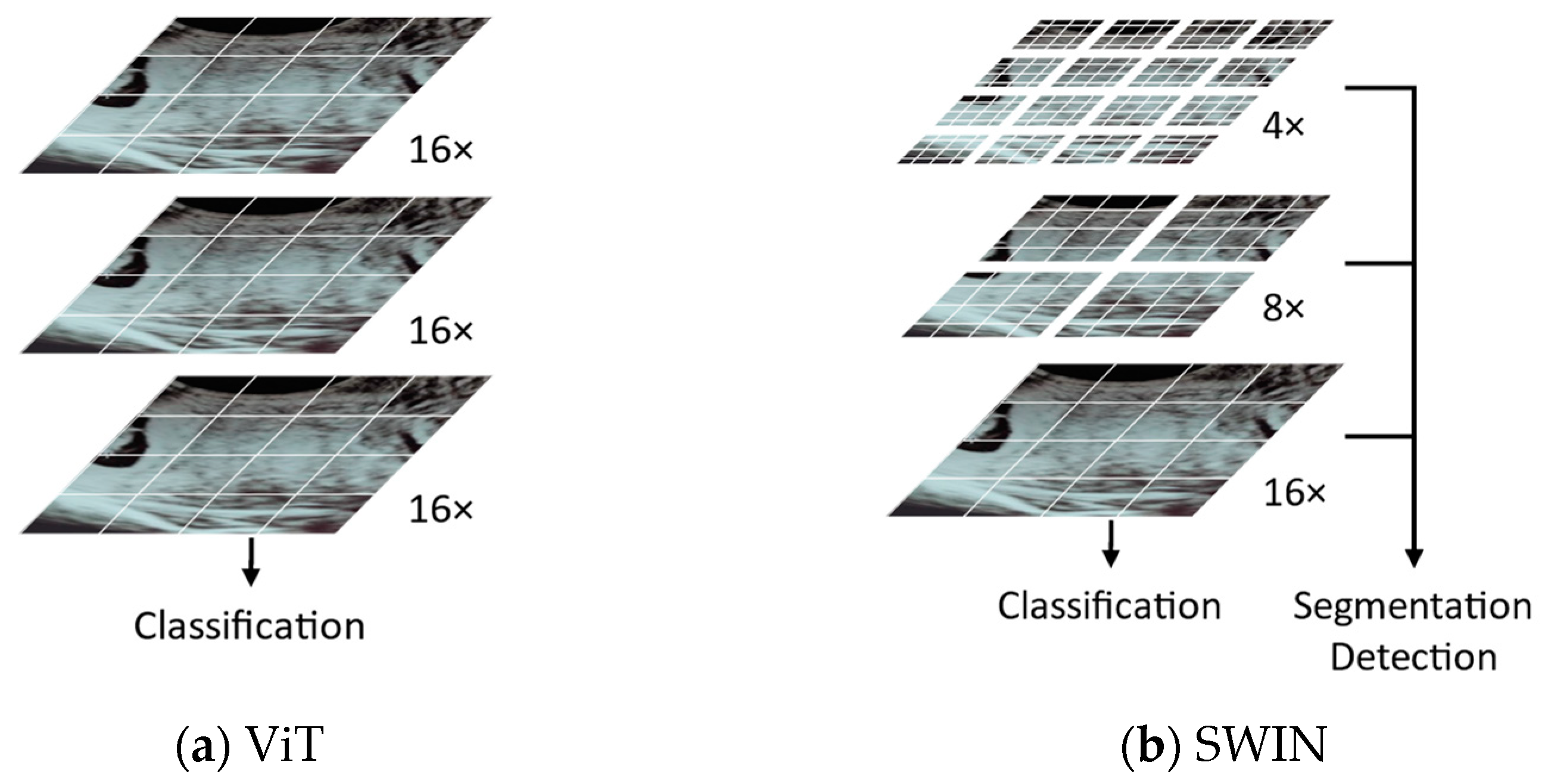 Bioengineering 10 01435 g003