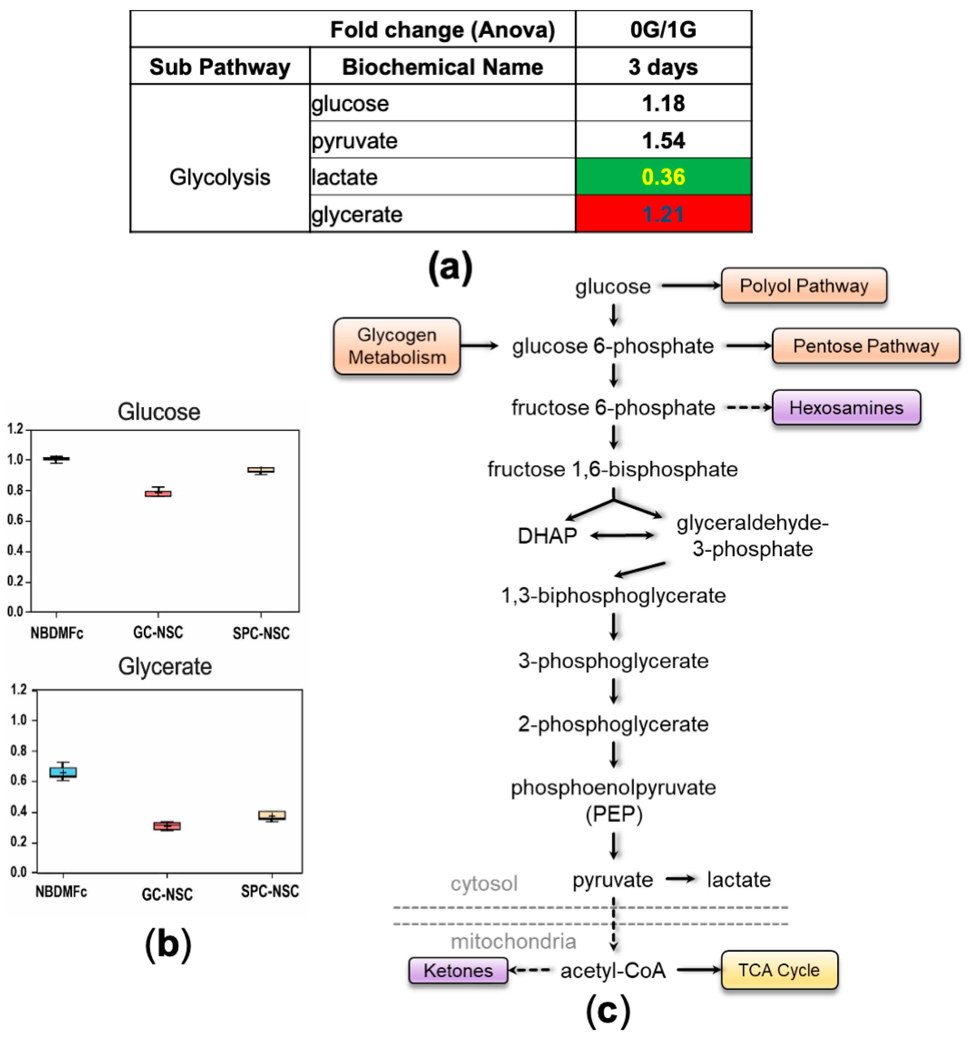 Bioengineering 11 00011 g006