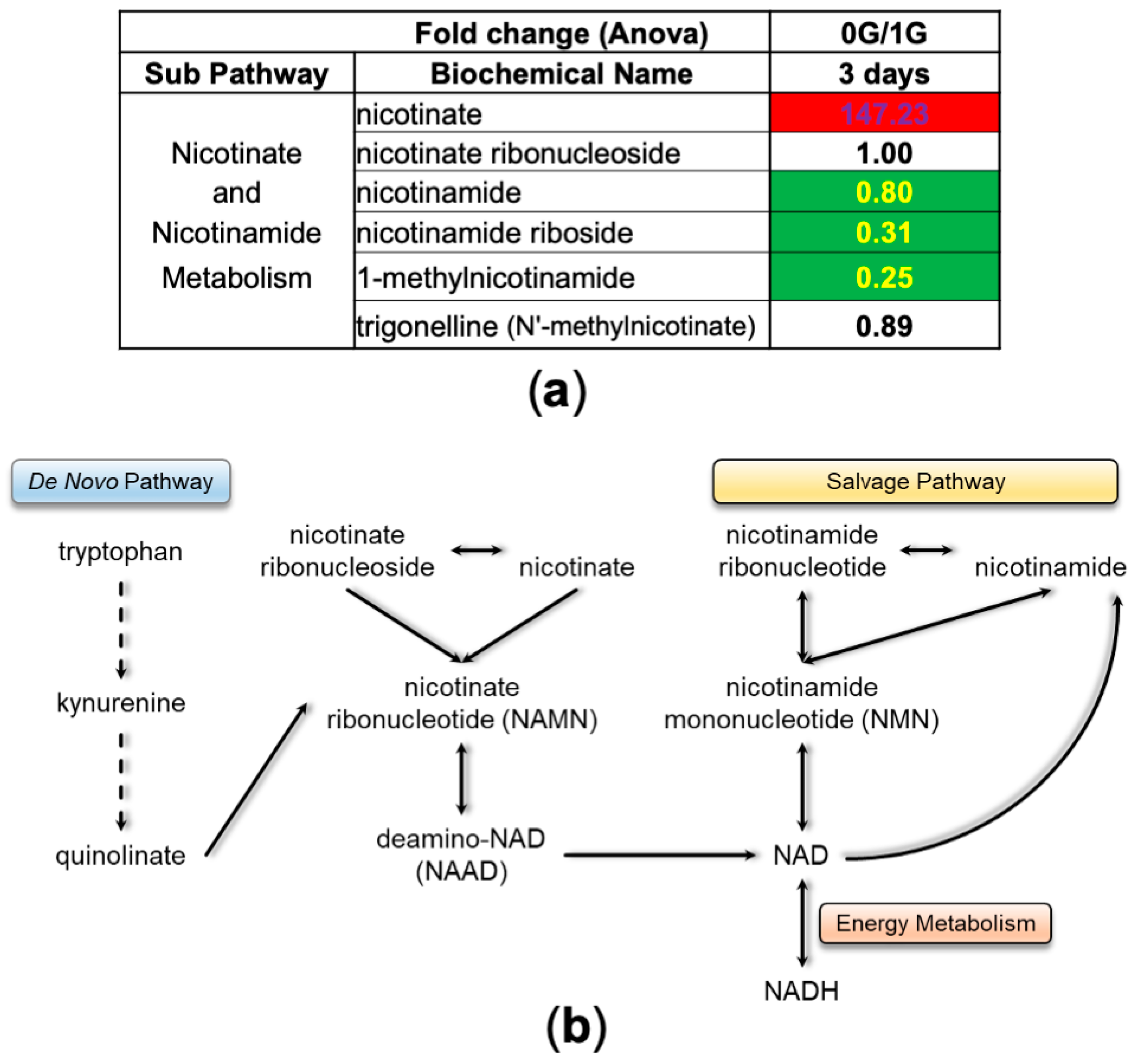 Bioengineering 11 00011 g007