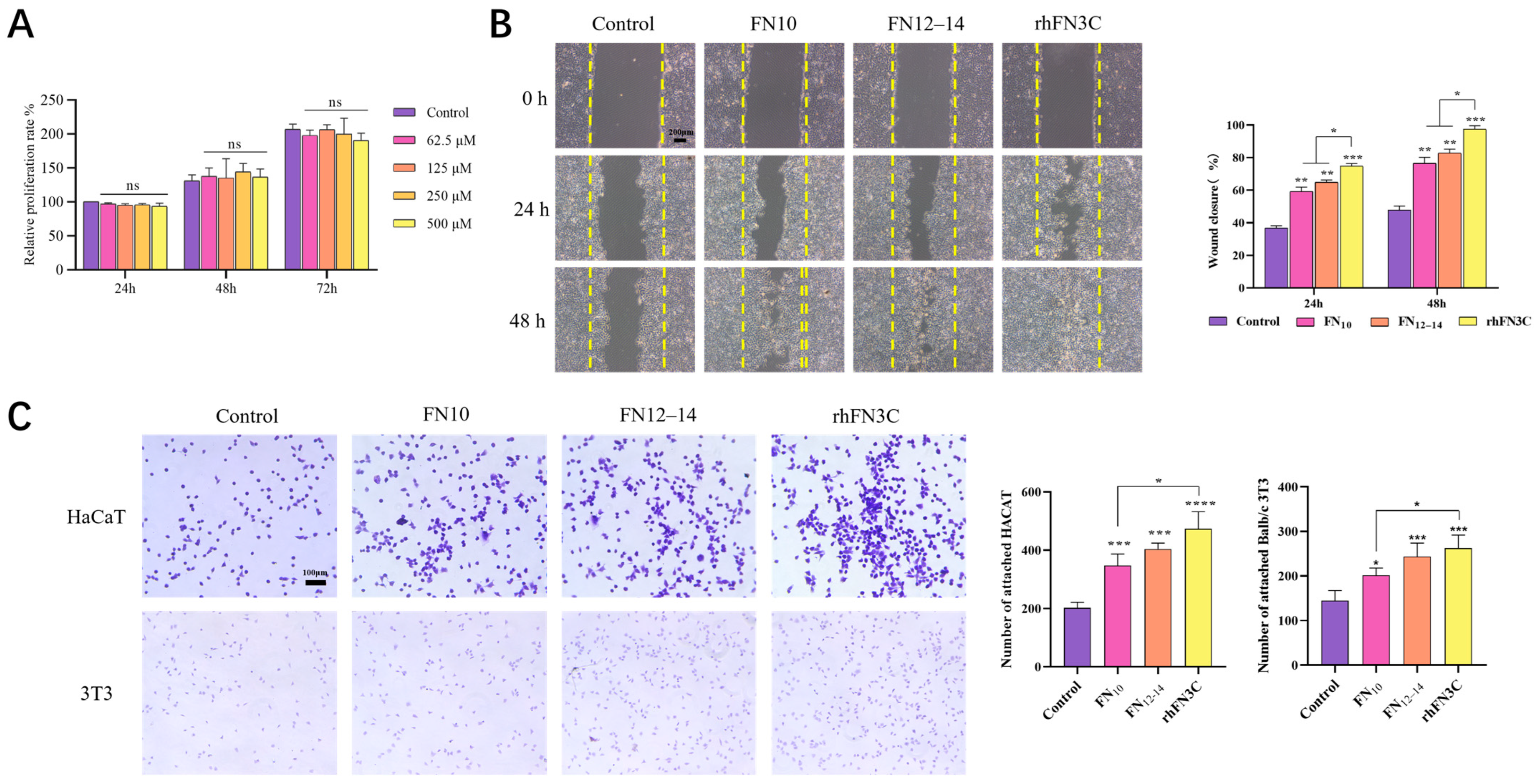 Bioengineering 11 00038 g003