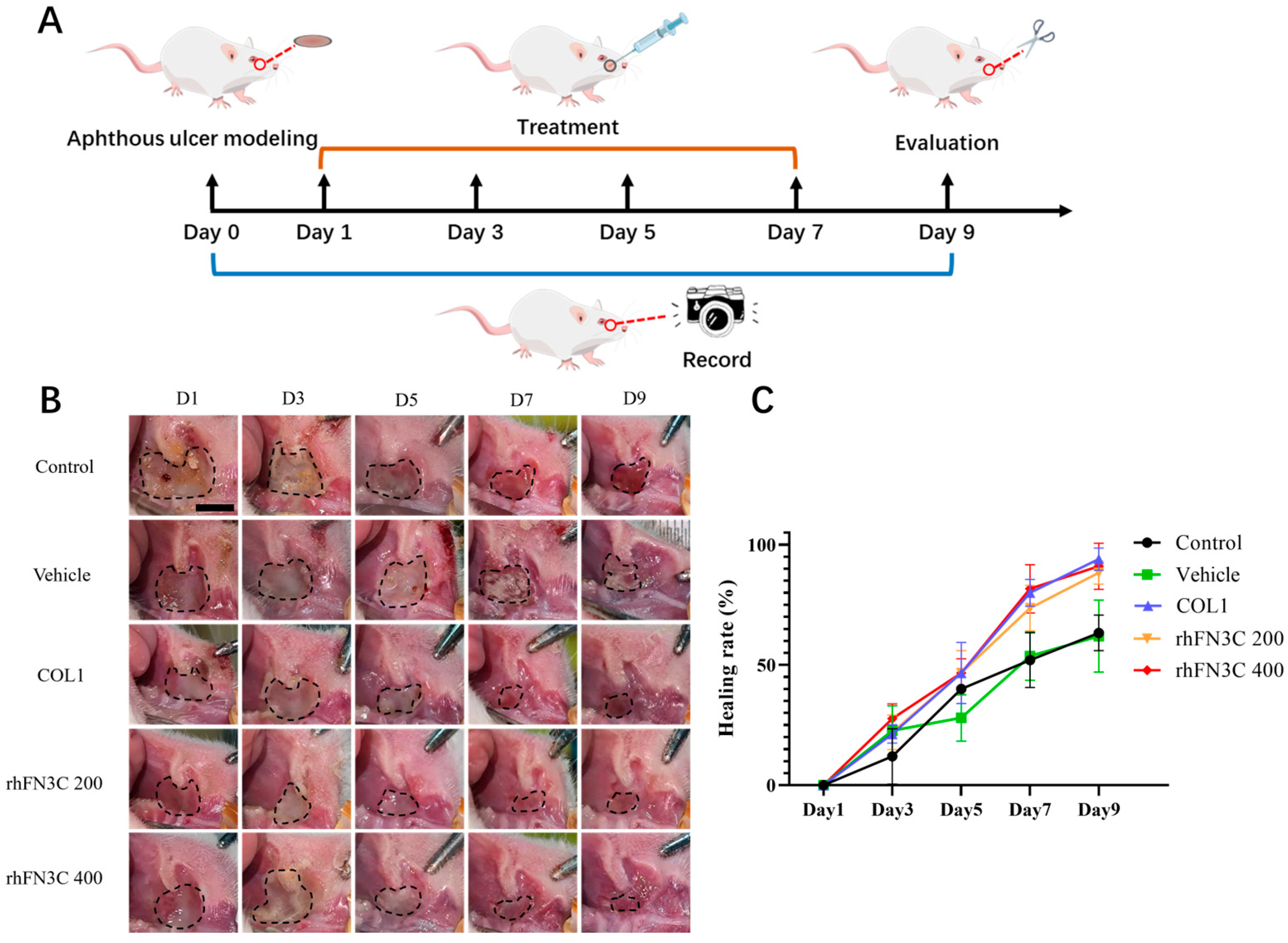 Bioengineering 11 00038 g004