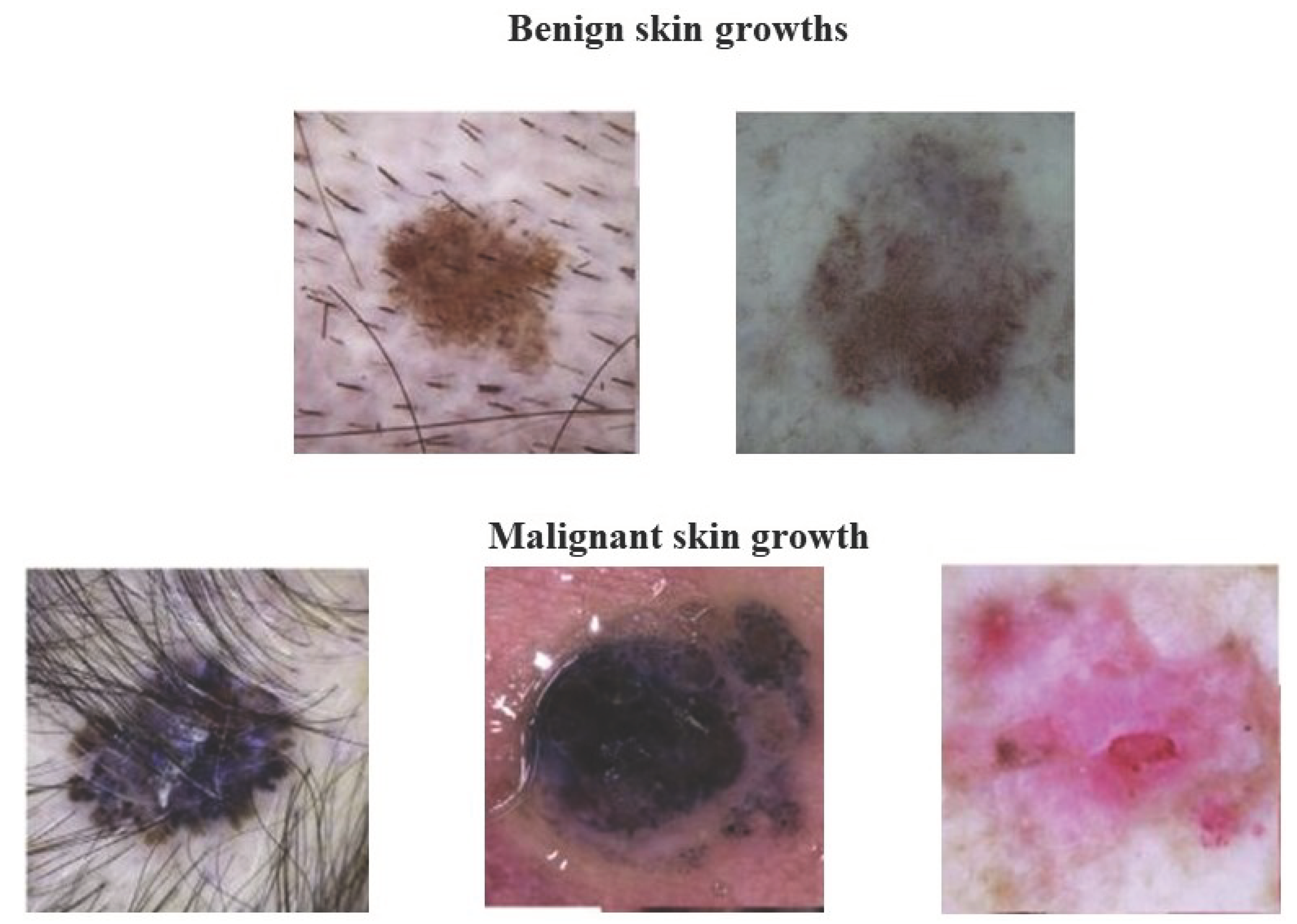 Bioengineering 11 00043 g002
