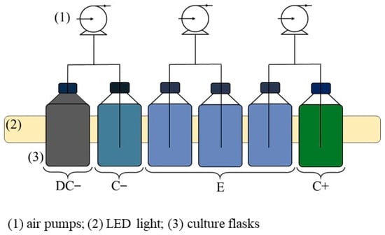 https://www.mdpi.com/bioengineering/bioengineering-11-00044/article_deploy/html/images/bioengineering-11-00044-g001-550.jpg