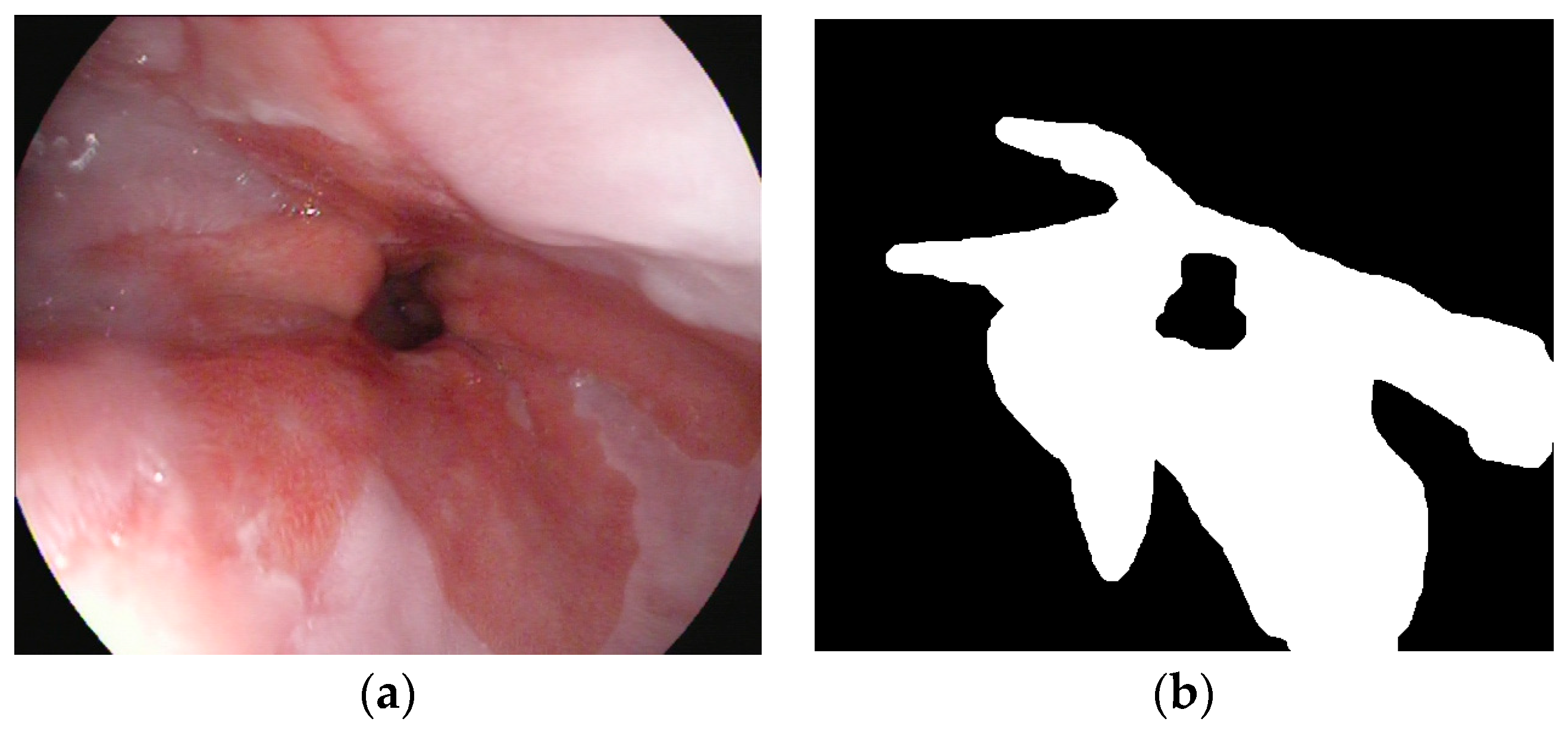 Bioengineering 11 00047 g001