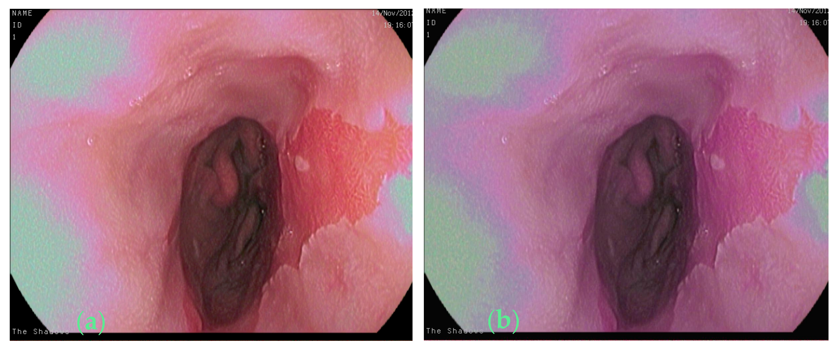 Bioengineering 11 00047 g002
