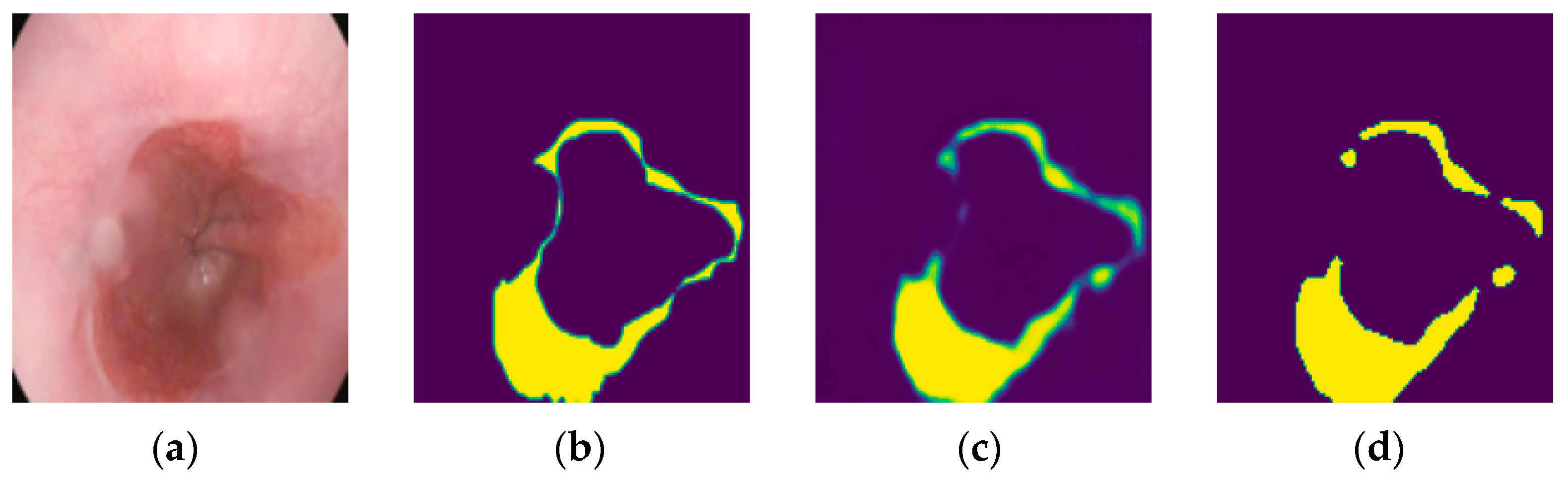 Bioengineering 11 00047 g004