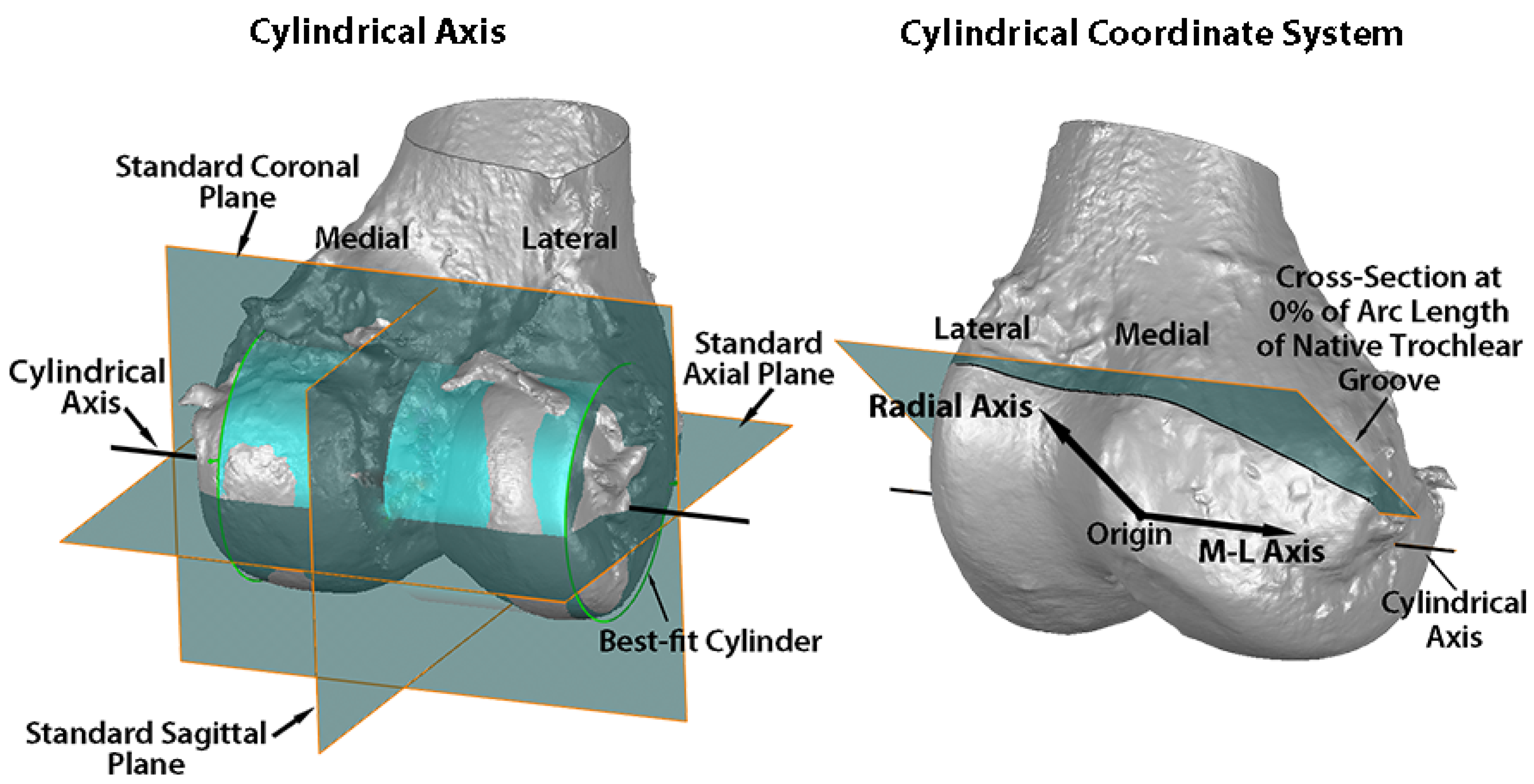Bioengineering 11 00062 g002