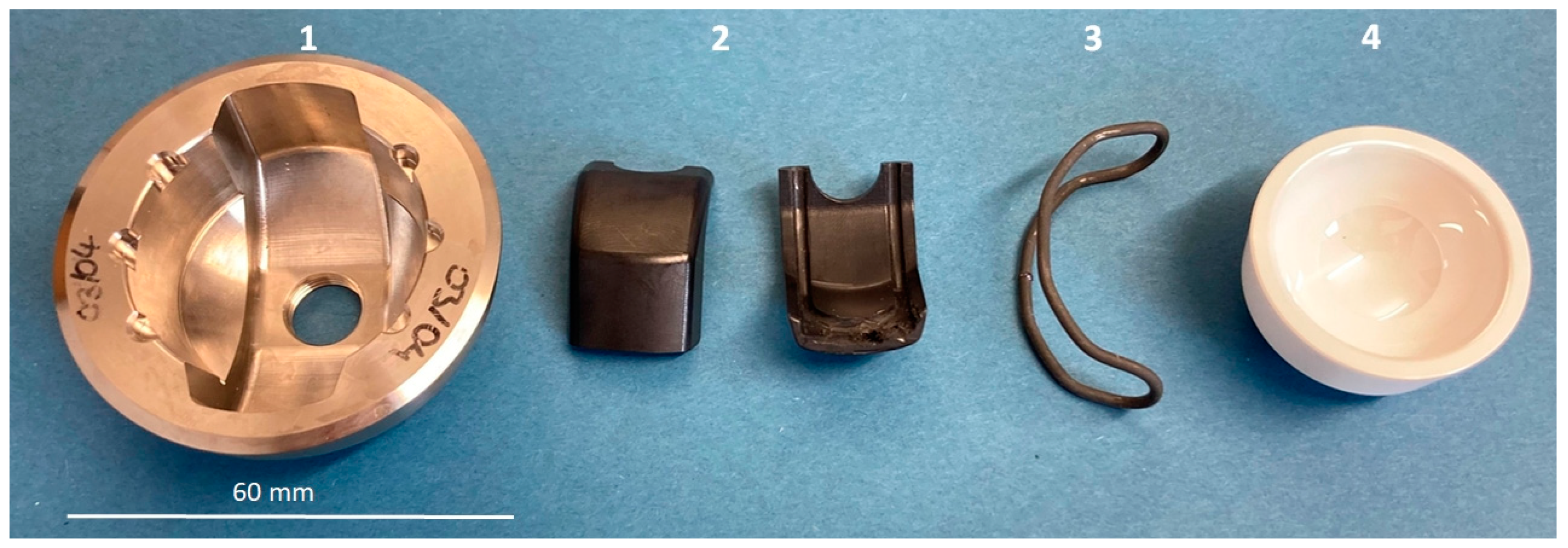 Bioengineering 11 00075 g001