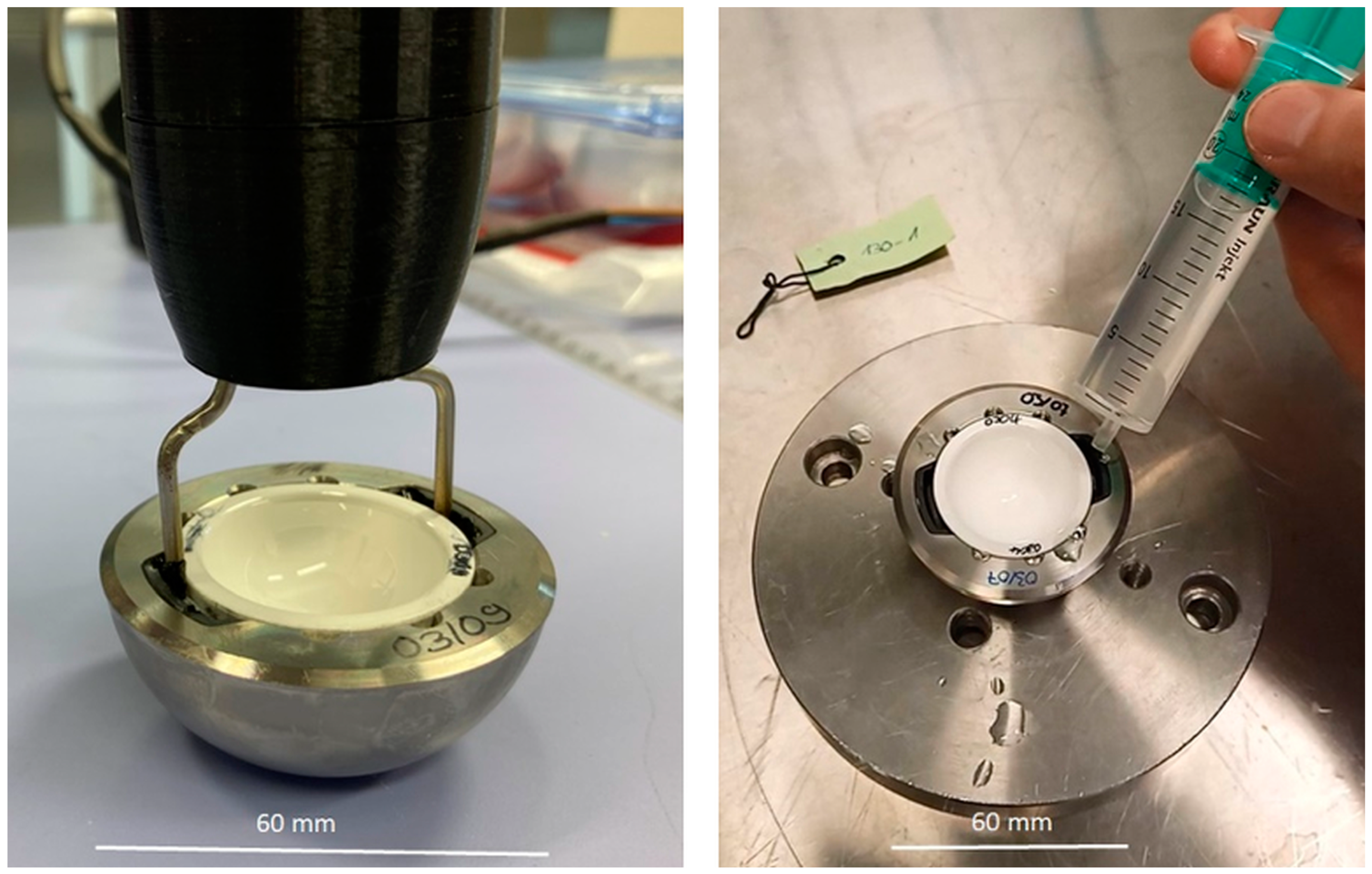 Bioengineering 11 00075 g004