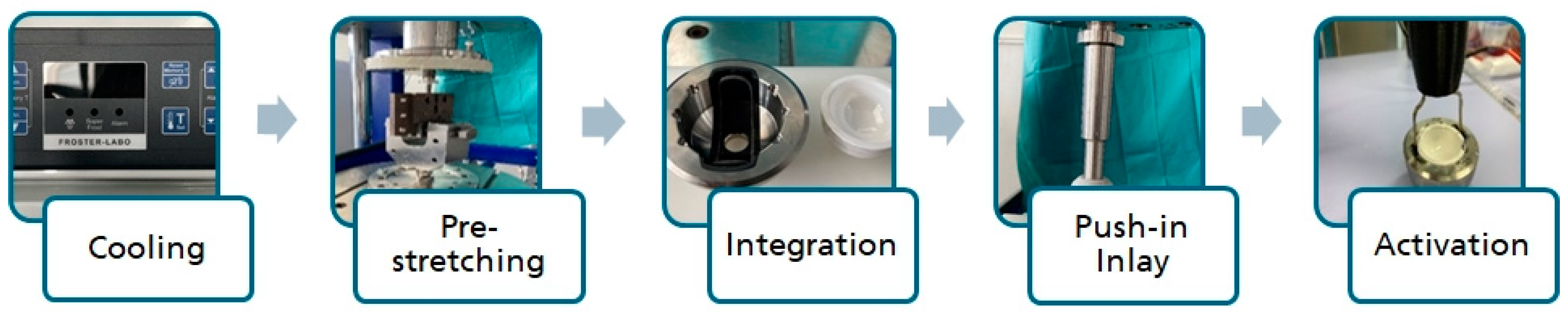 Bioengineering 11 00075 g005