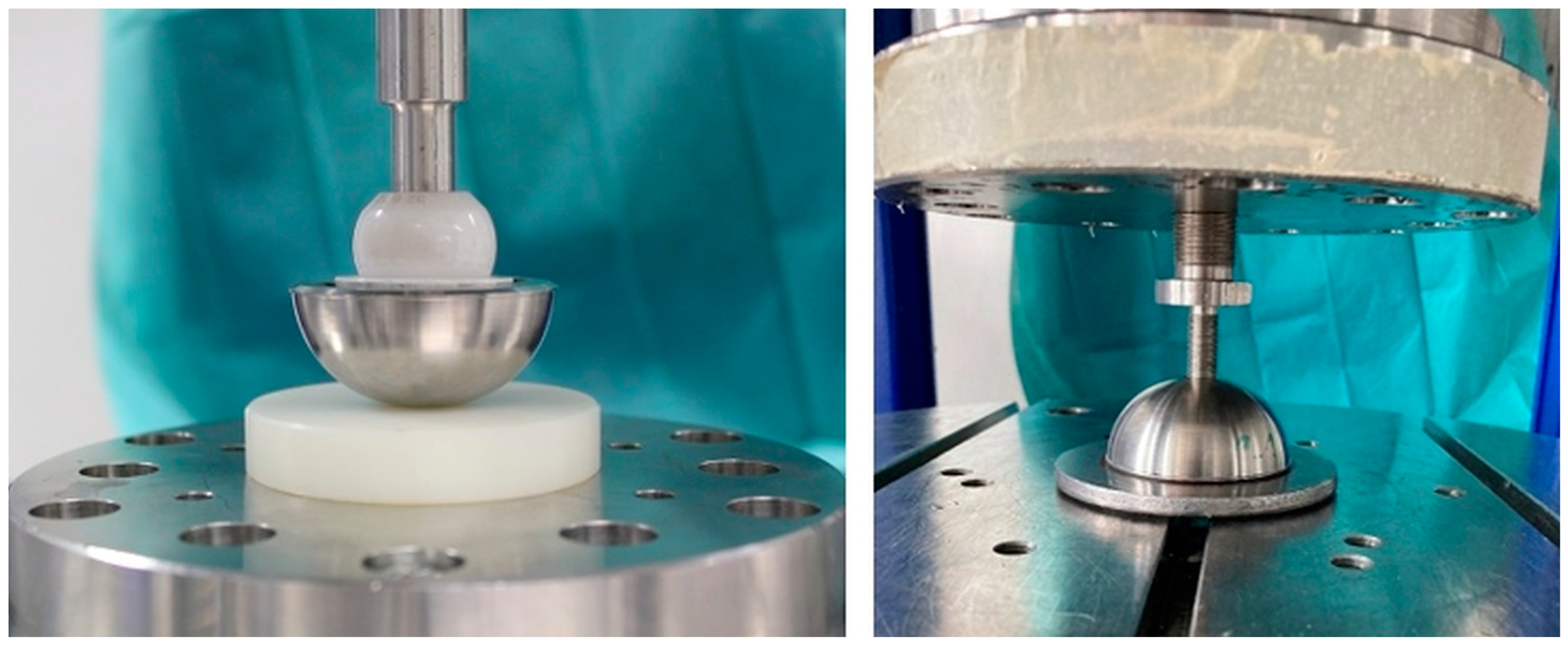 Bioengineering 11 00075 g007