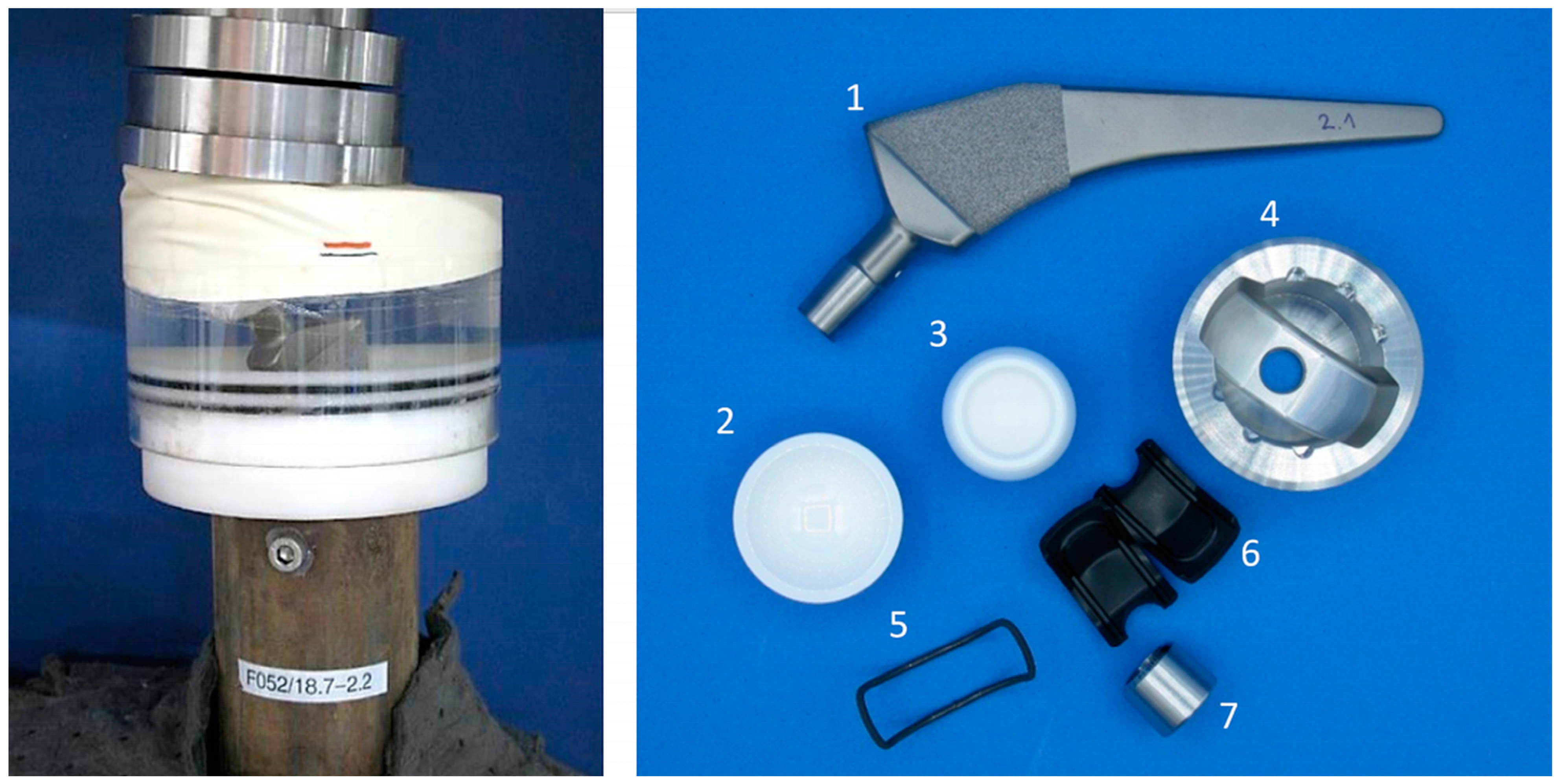 Bioengineering 11 00075 g008