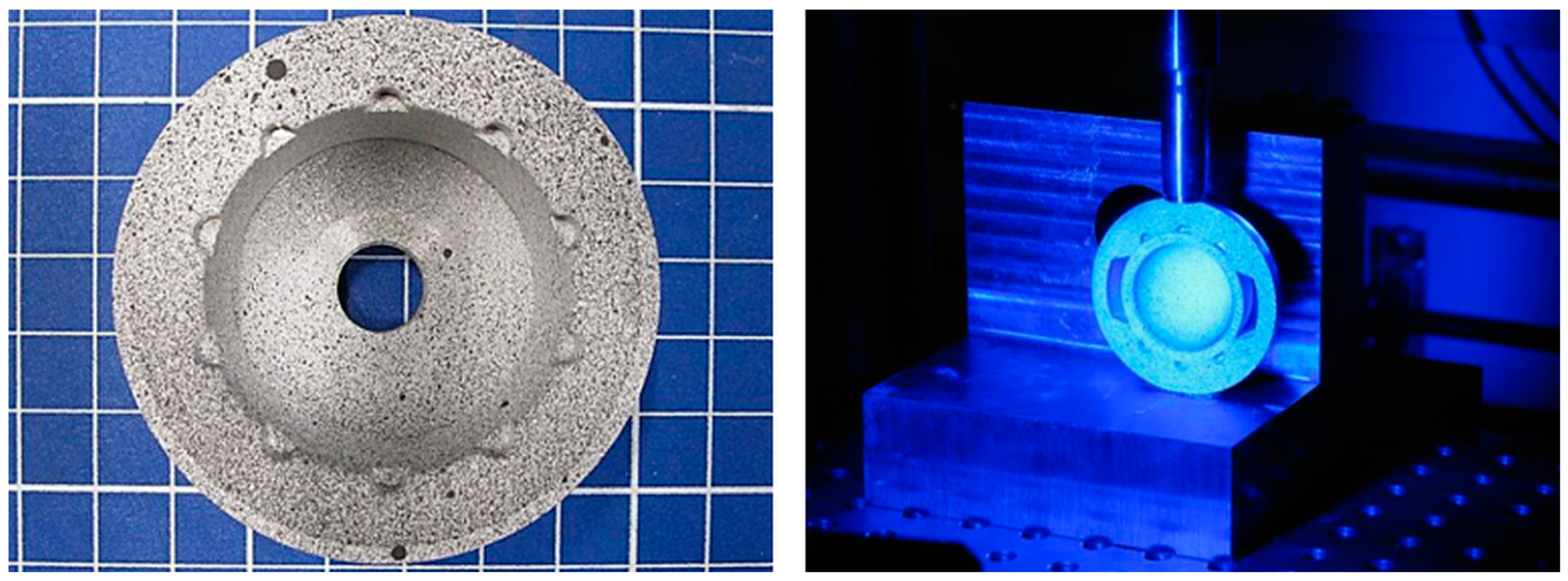 Bioengineering 11 00075 g009