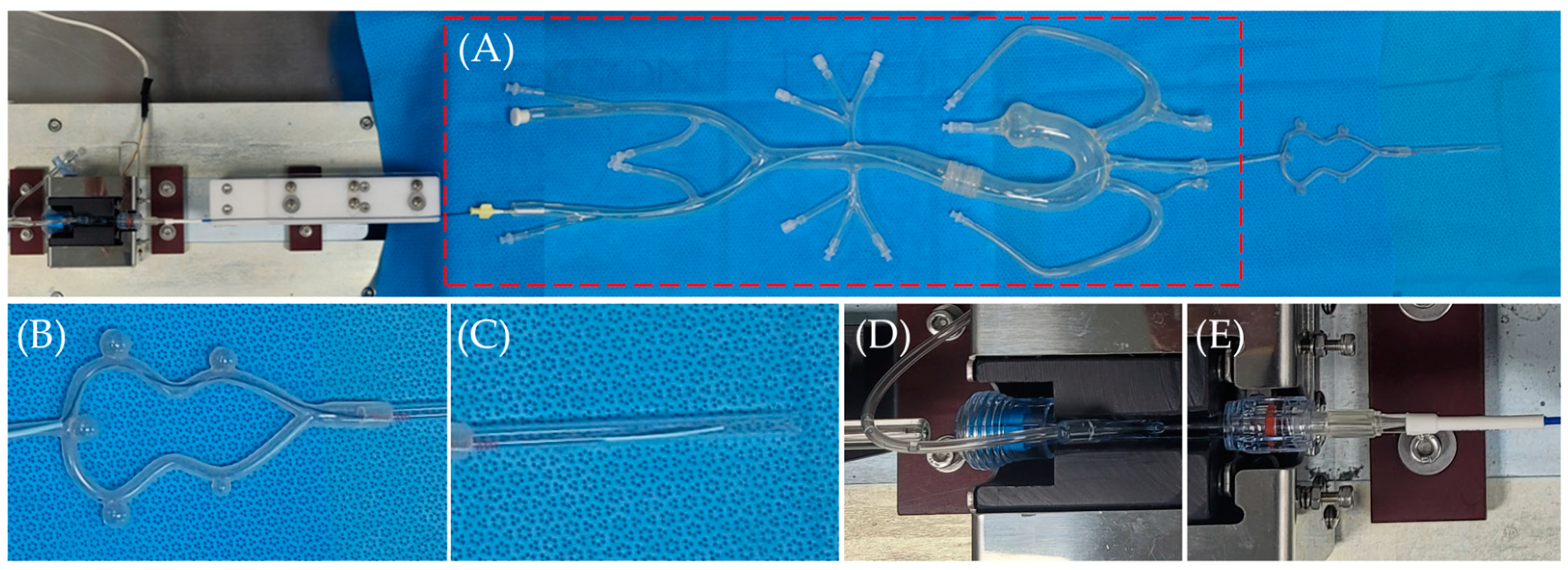Bioengineering 11 00076 g001
