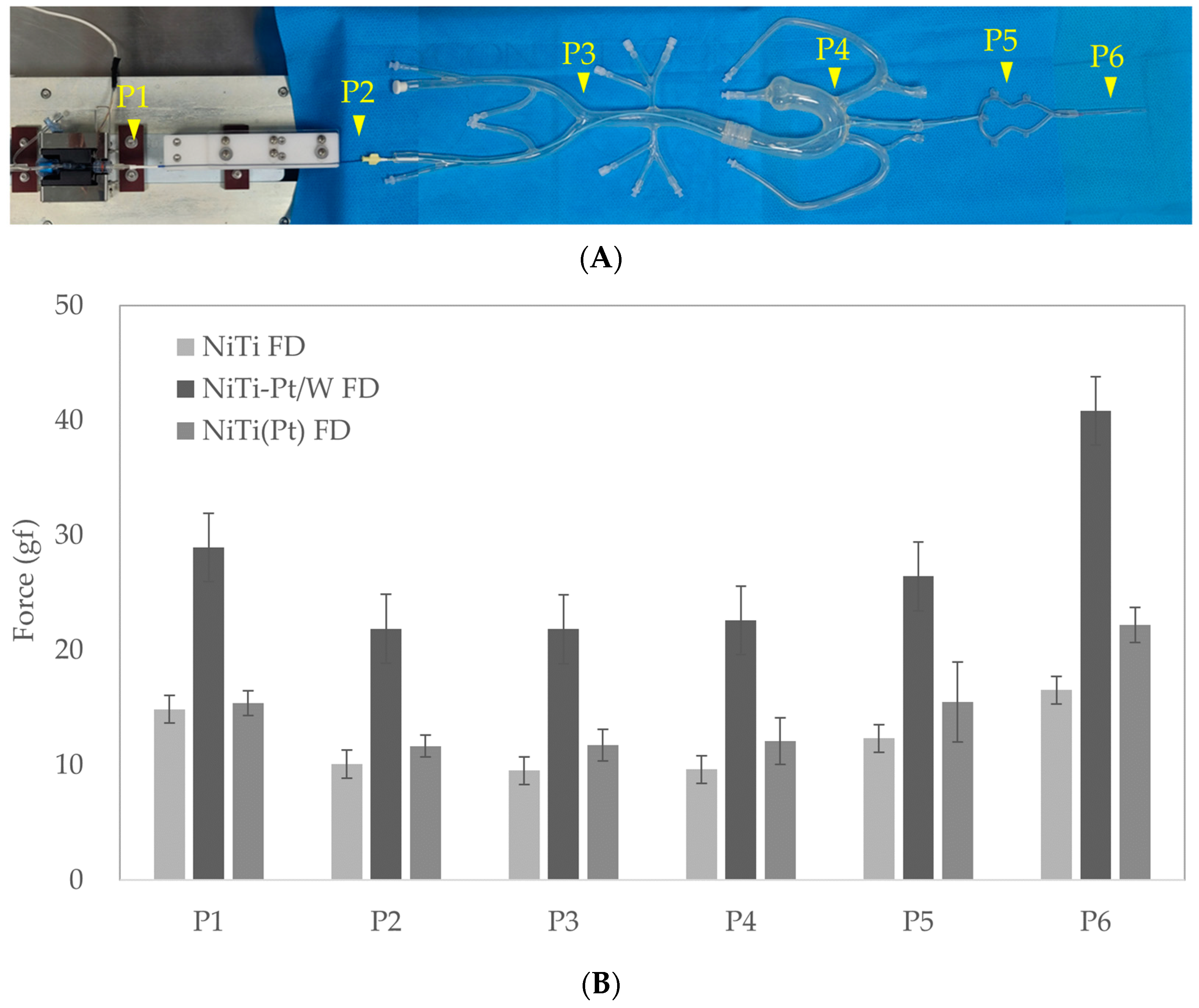 Bioengineering 11 00076 g006