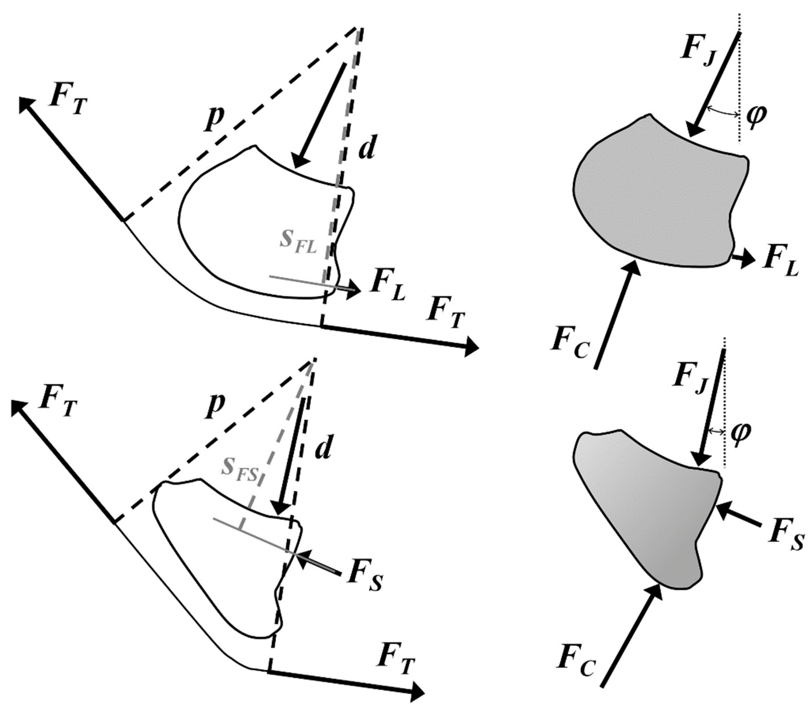 Bioengineering 11 00087 g002