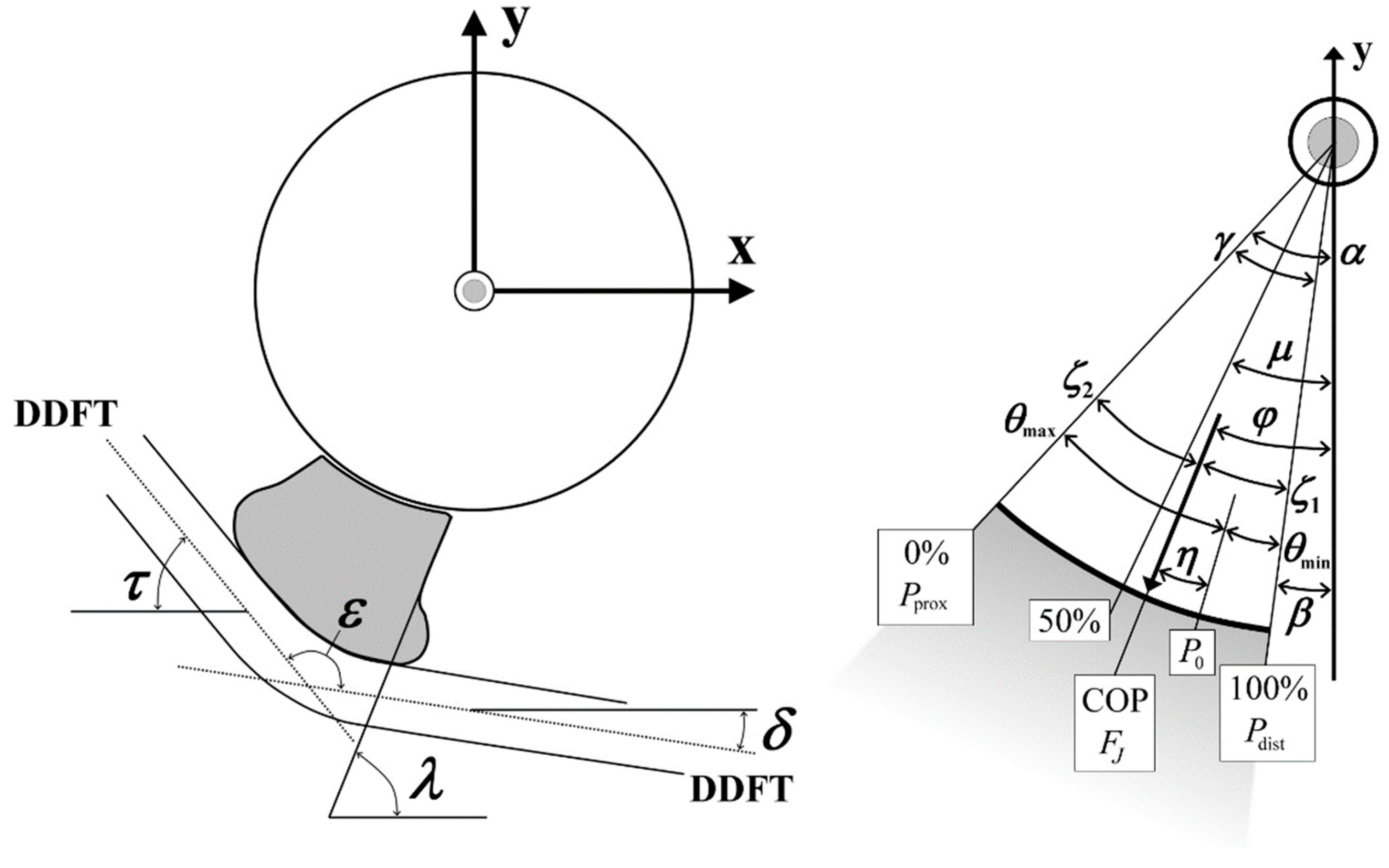 Bioengineering 11 00087 g003