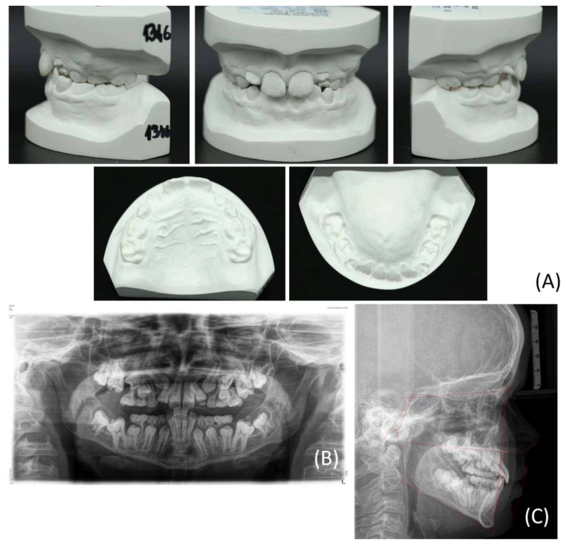 Bioengineering 11 00091 g001 Bioengineering 11 00091 g001