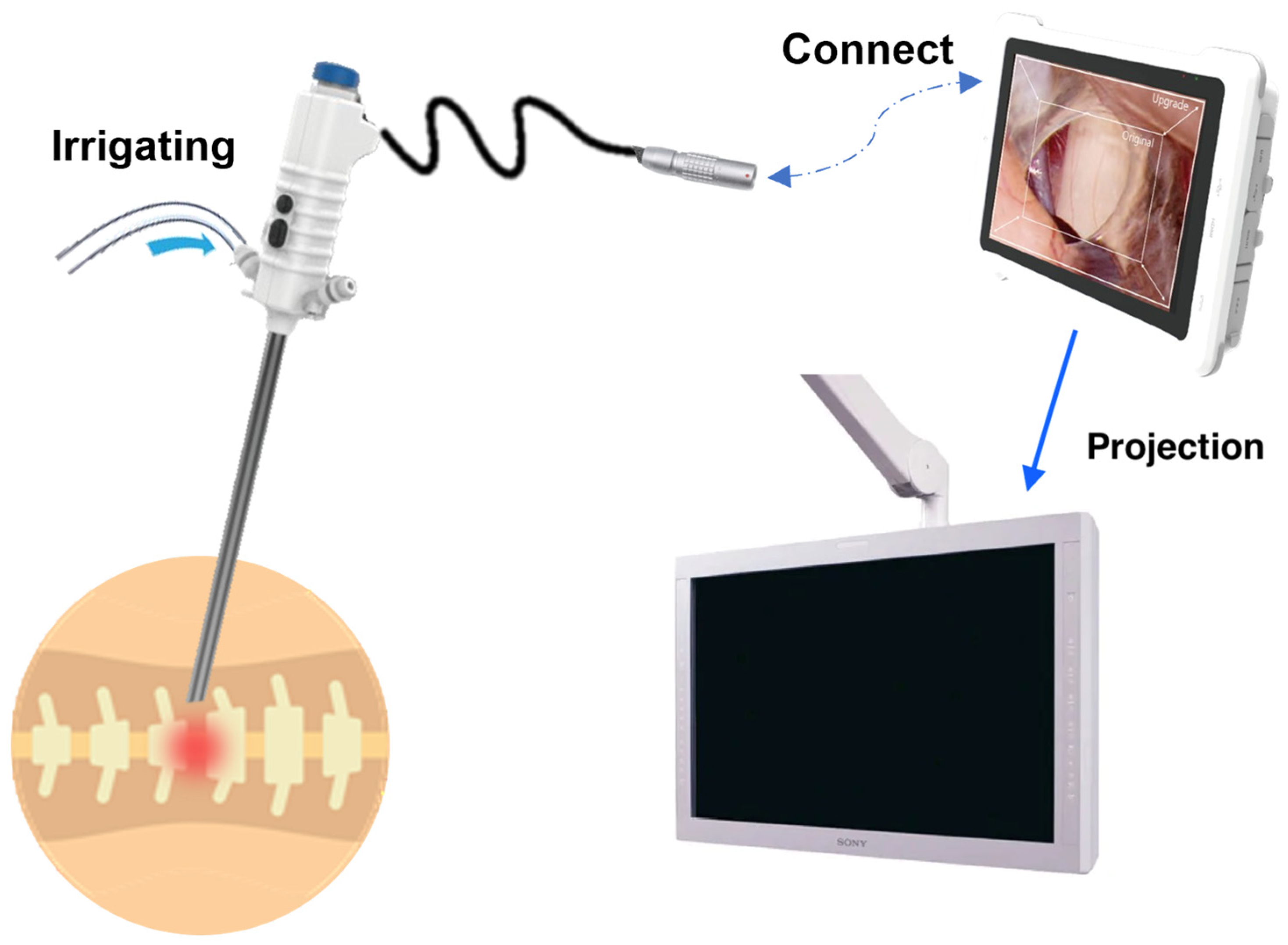 Bioengineering 11 00099 g001