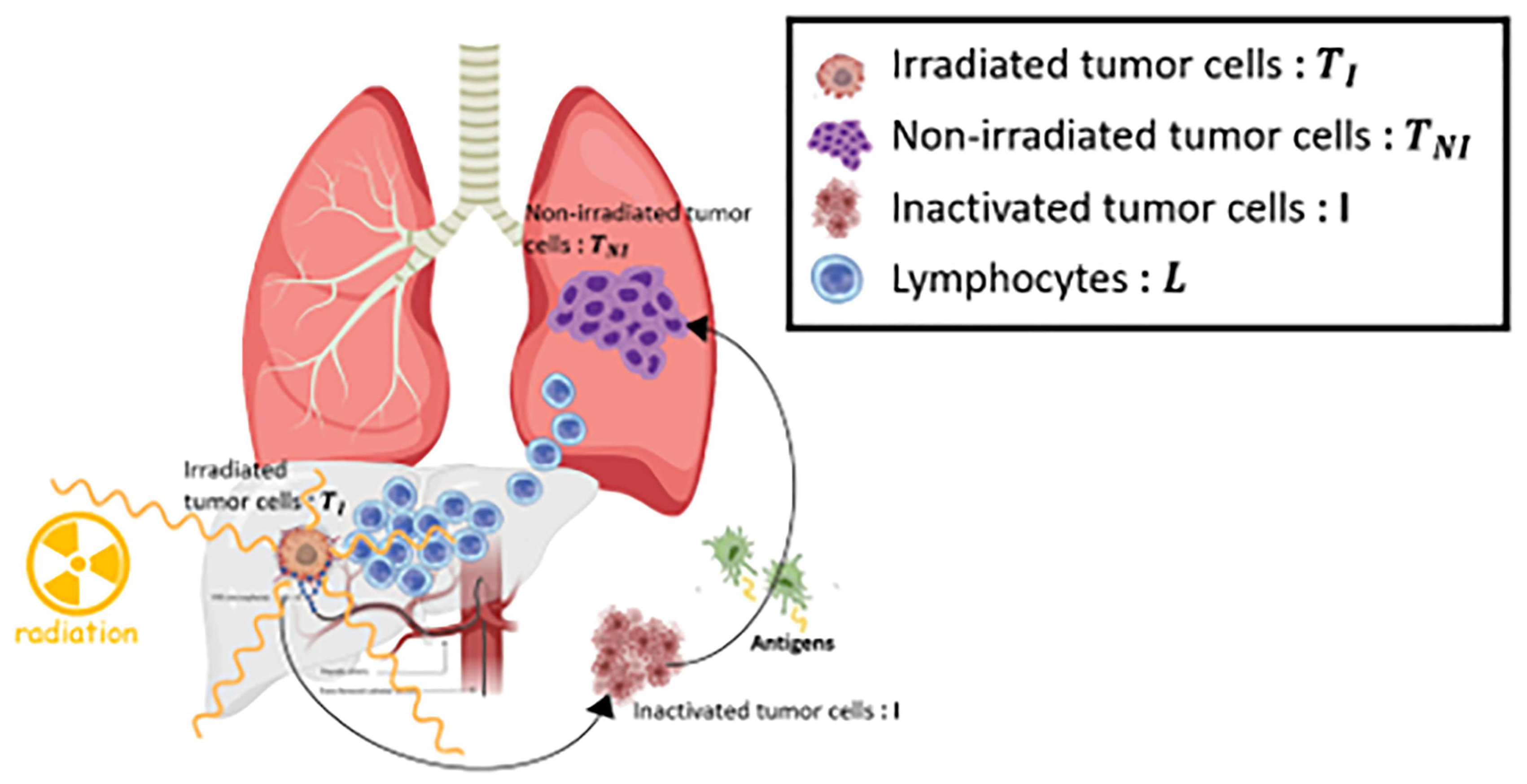 Bioengineering 11 00106 g001 Bioengineering 11 00106 g001