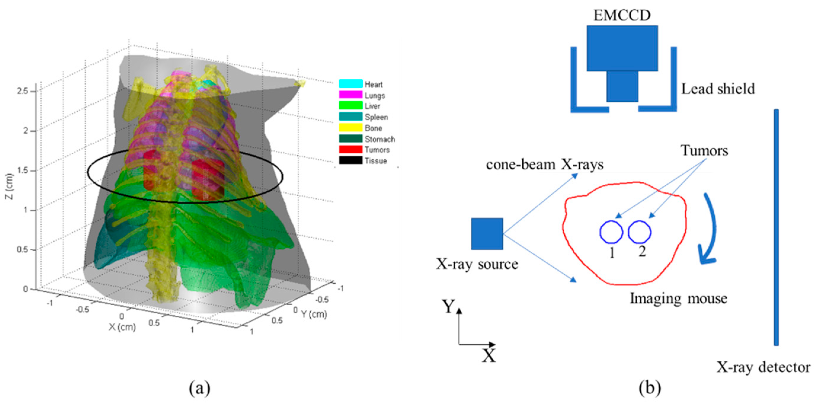 Bioengineering 11 00123 g002
