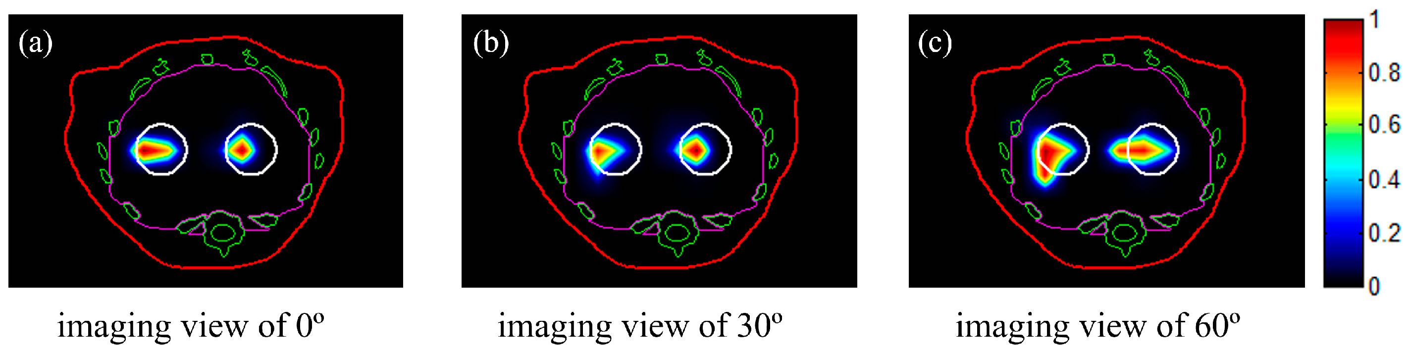 Bioengineering 11 00123 g004