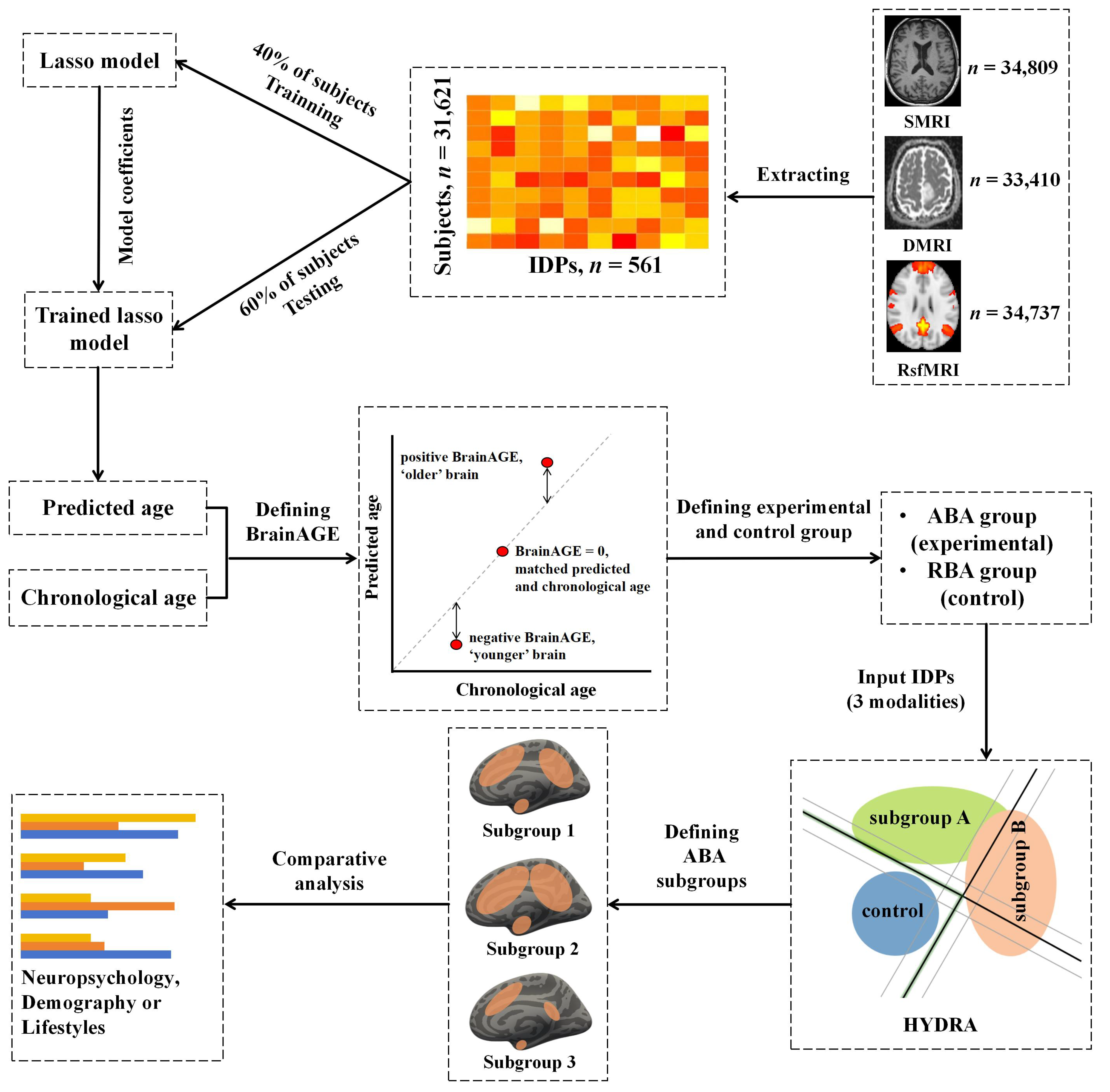 Bioengineering 11 00124 g002