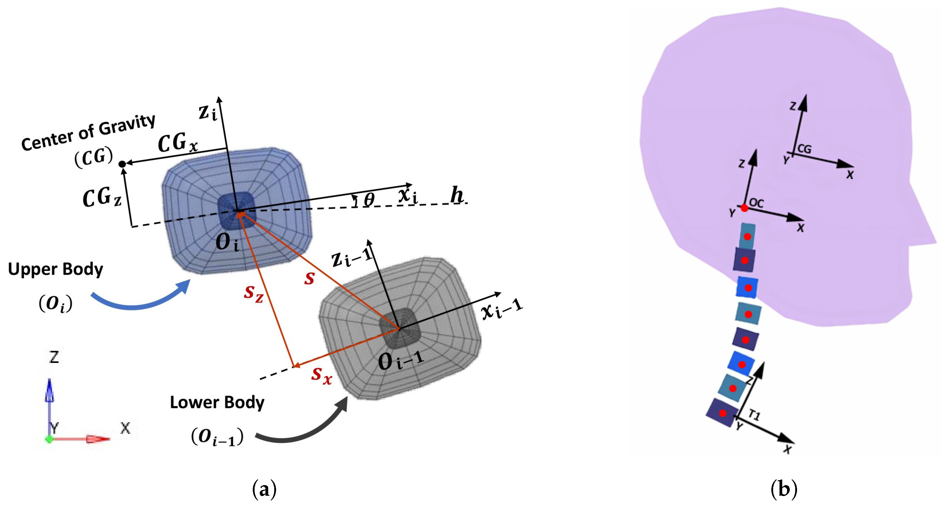 Bioengineering 11 00129 g002
