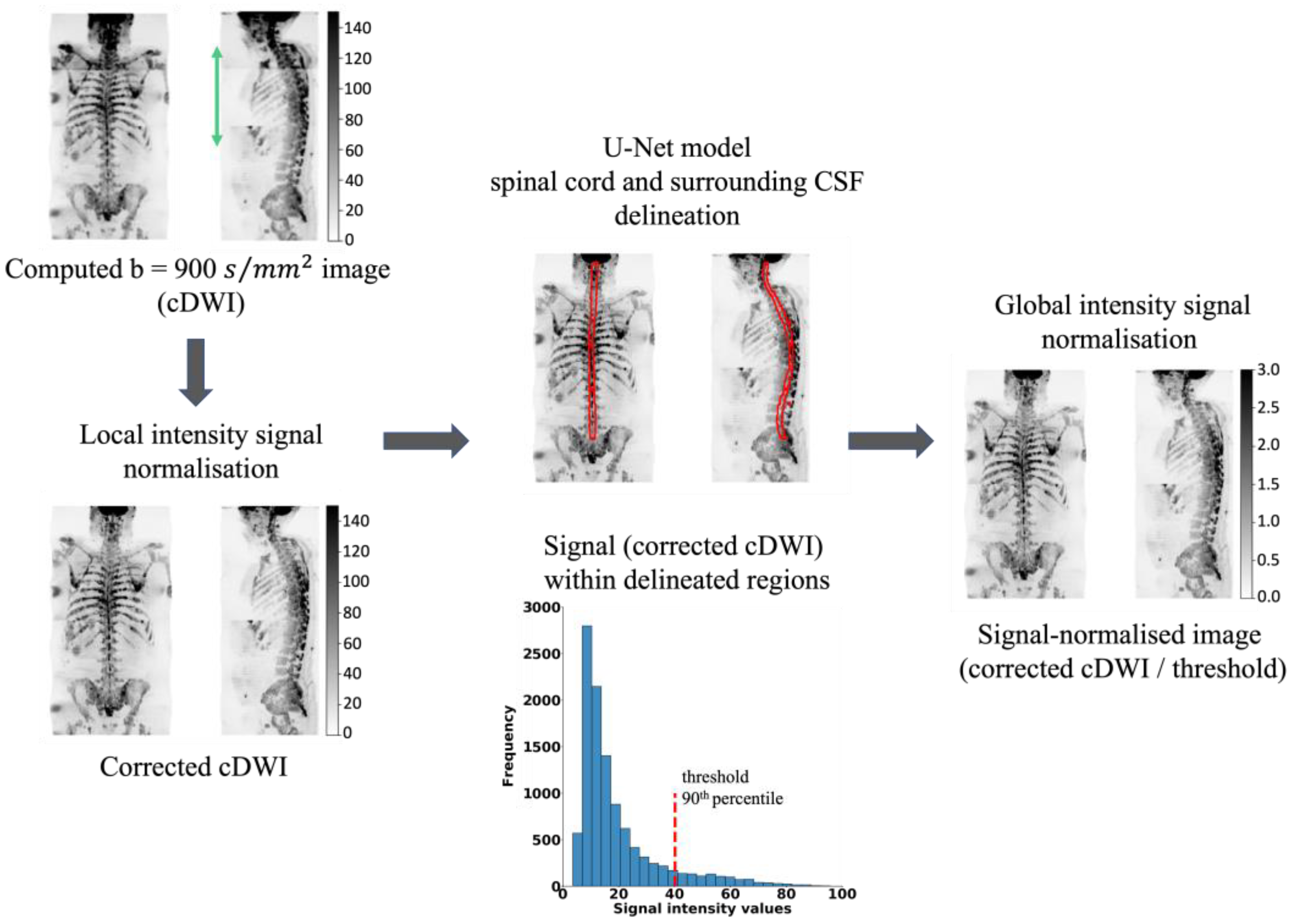 Bioengineering 11 00130 g001 Bioengineering 11 00130 g001
