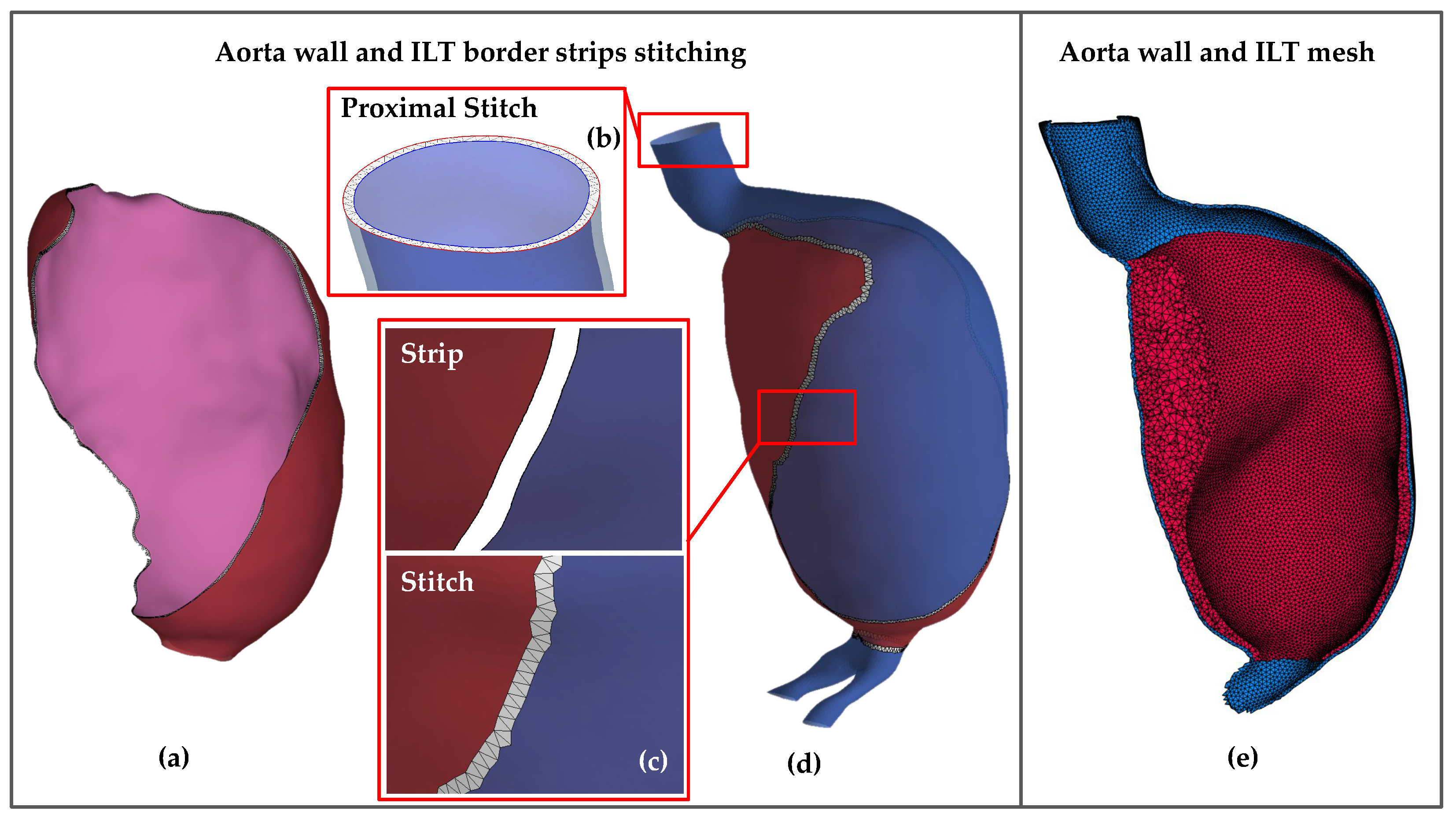 Bioengineering 11 00144 g003