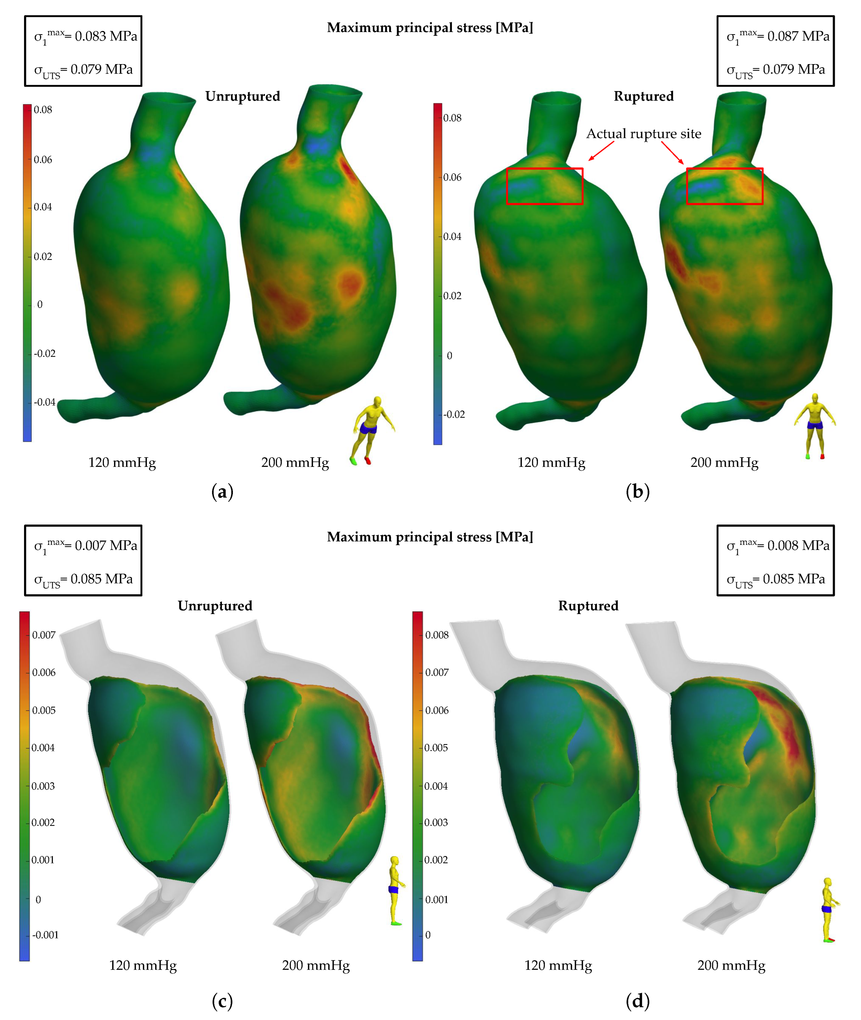 Bioengineering 11 00144 g005