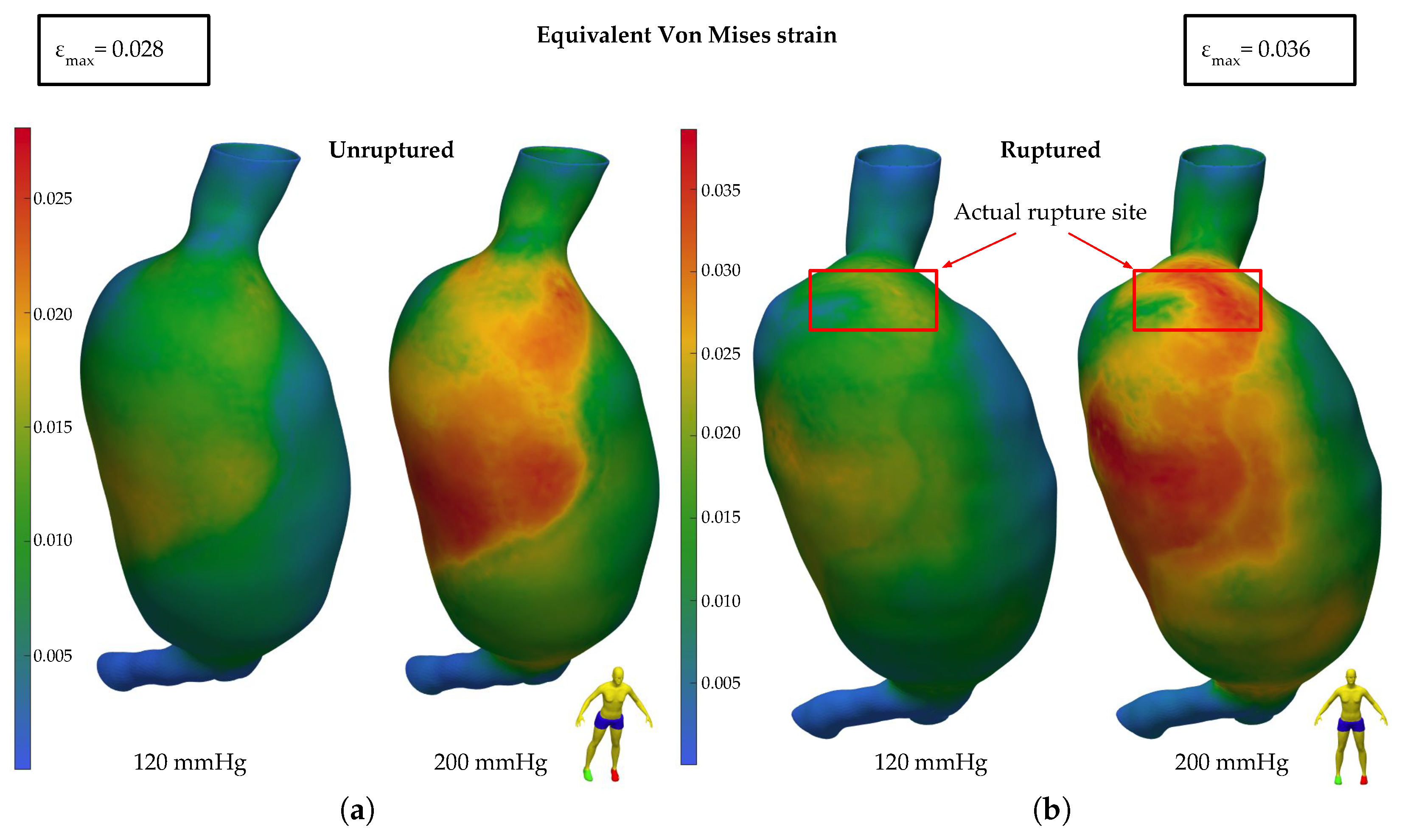 Bioengineering 11 00144 g006