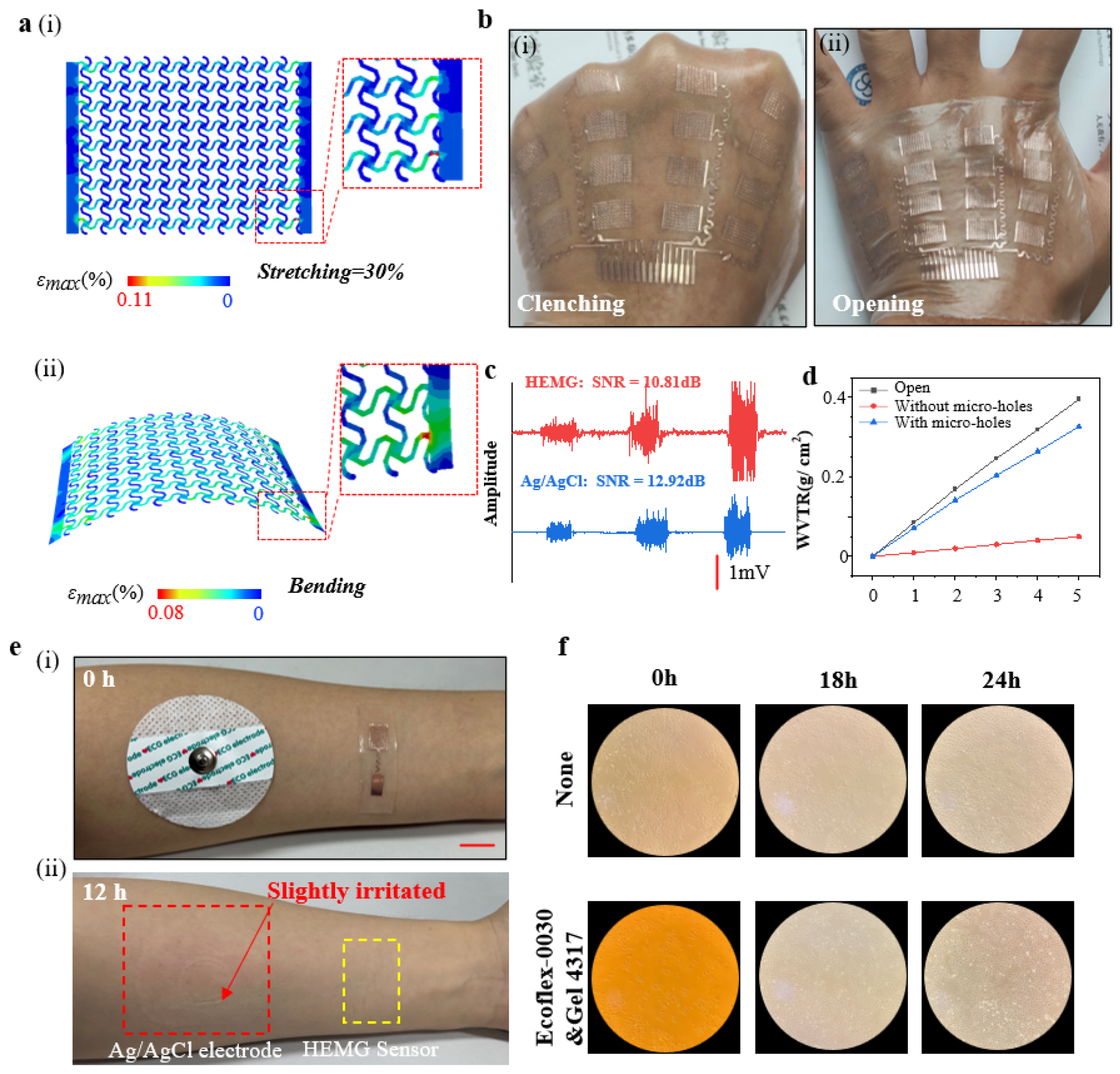 Bioengineering 11 00146 g003