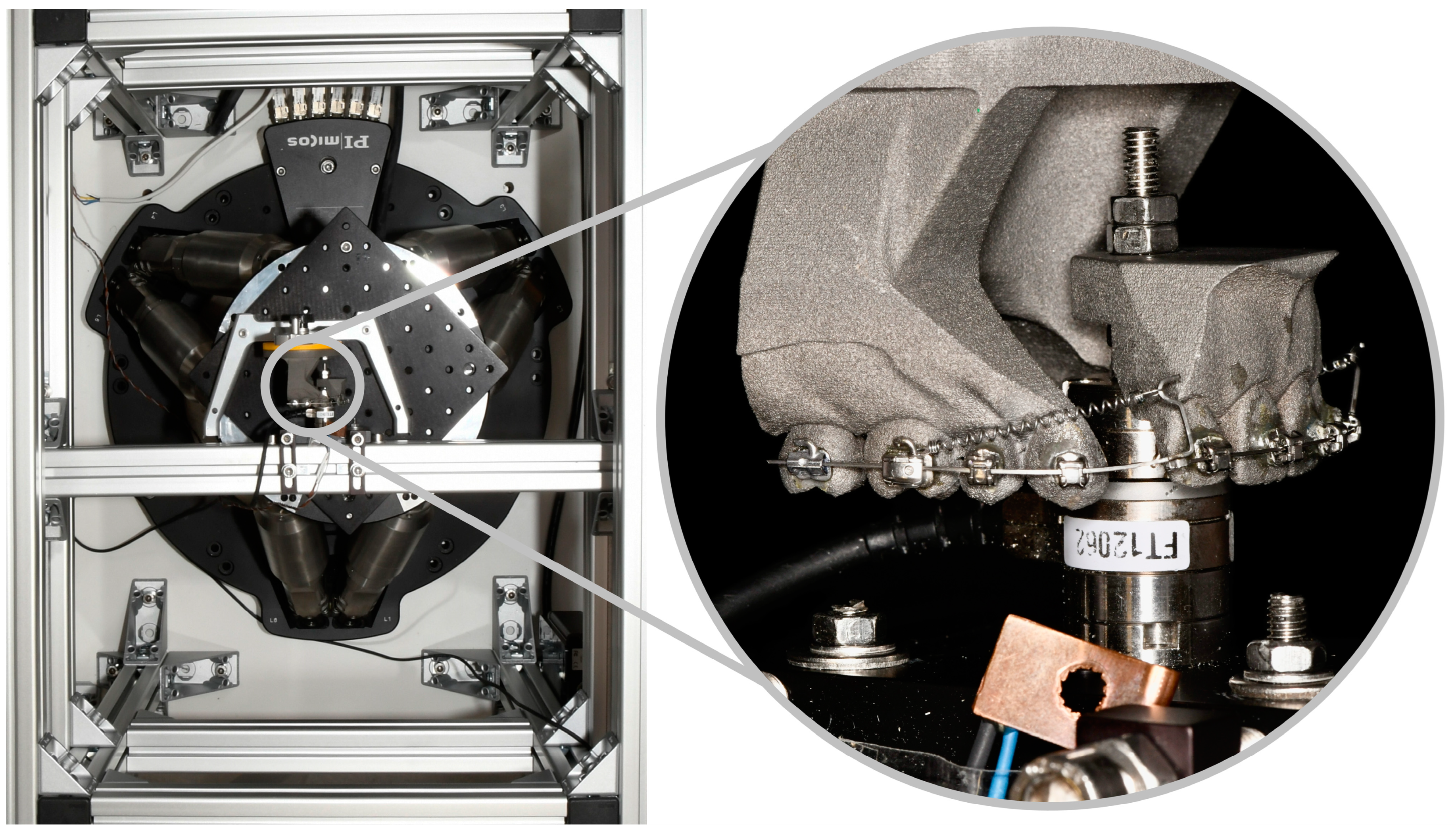 Bioengineering 11 00153 g003