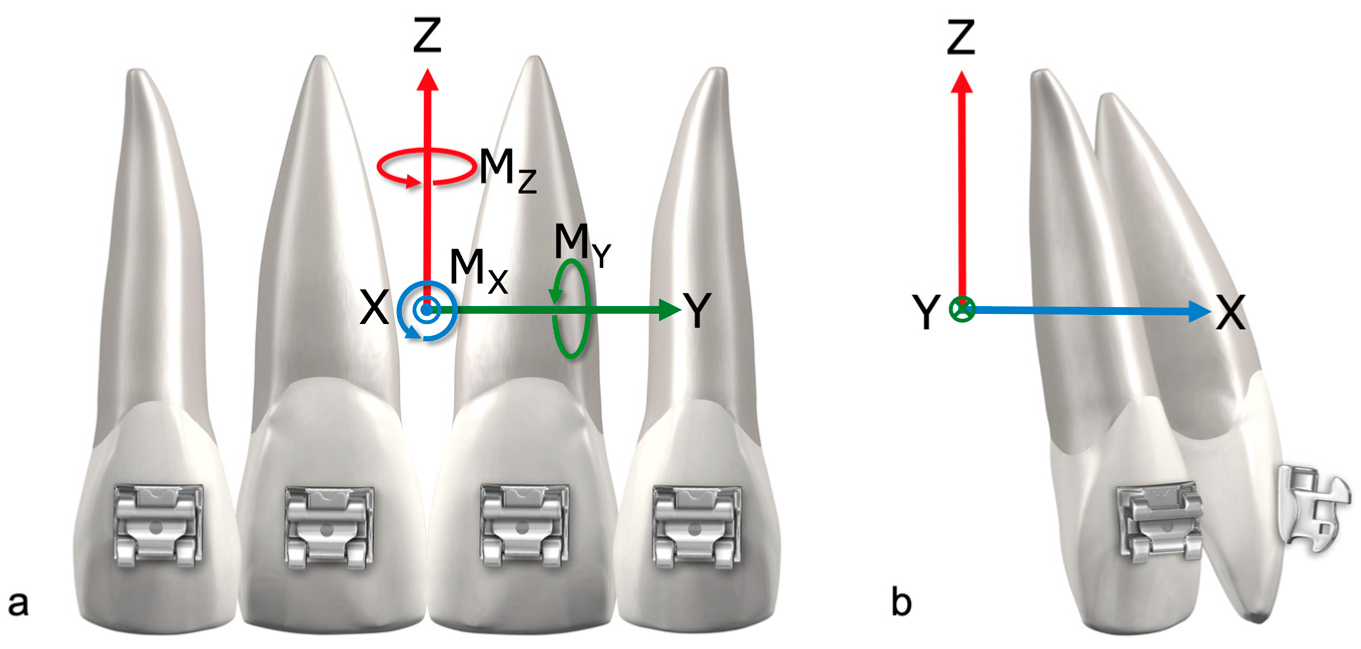 Bioengineering 11 00153 g004