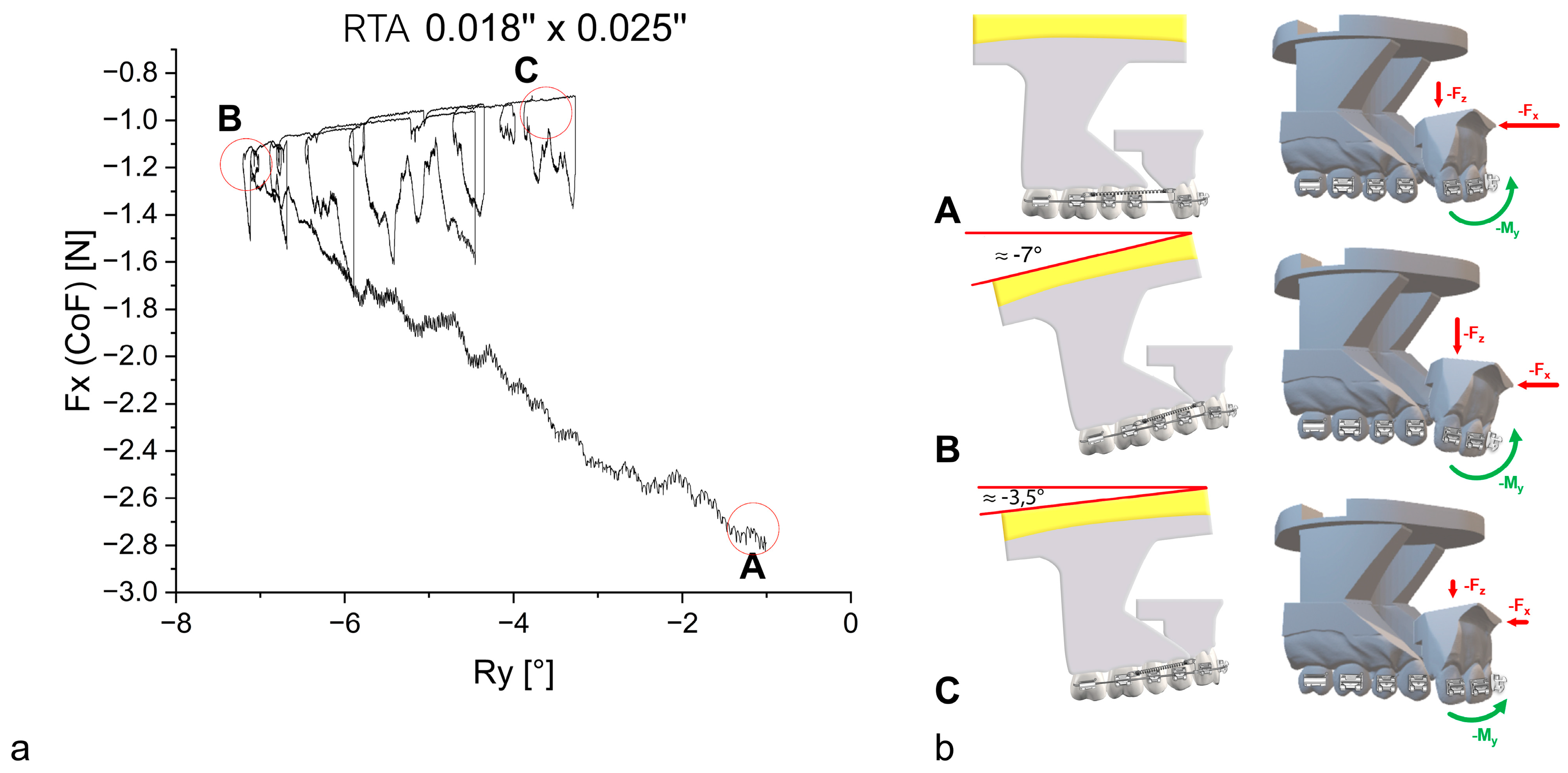 Bioengineering 11 00153 g006