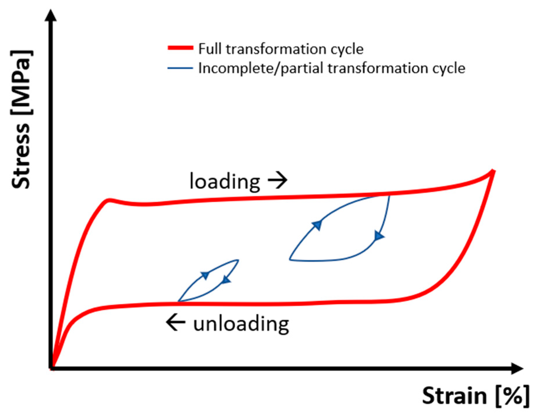Bioengineering 11 00153 g009