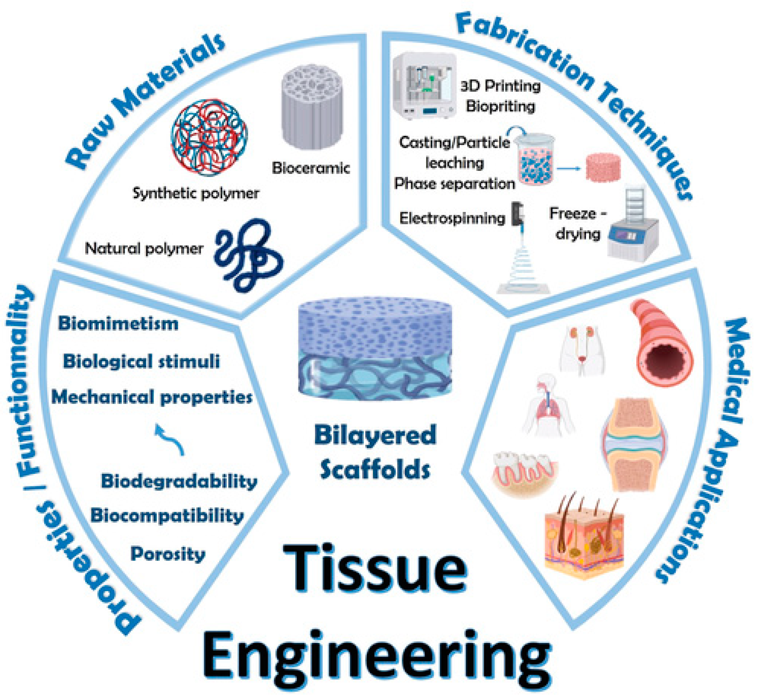 Bioengineering 11 00158 g004 Bioengineering 11 00158 g004