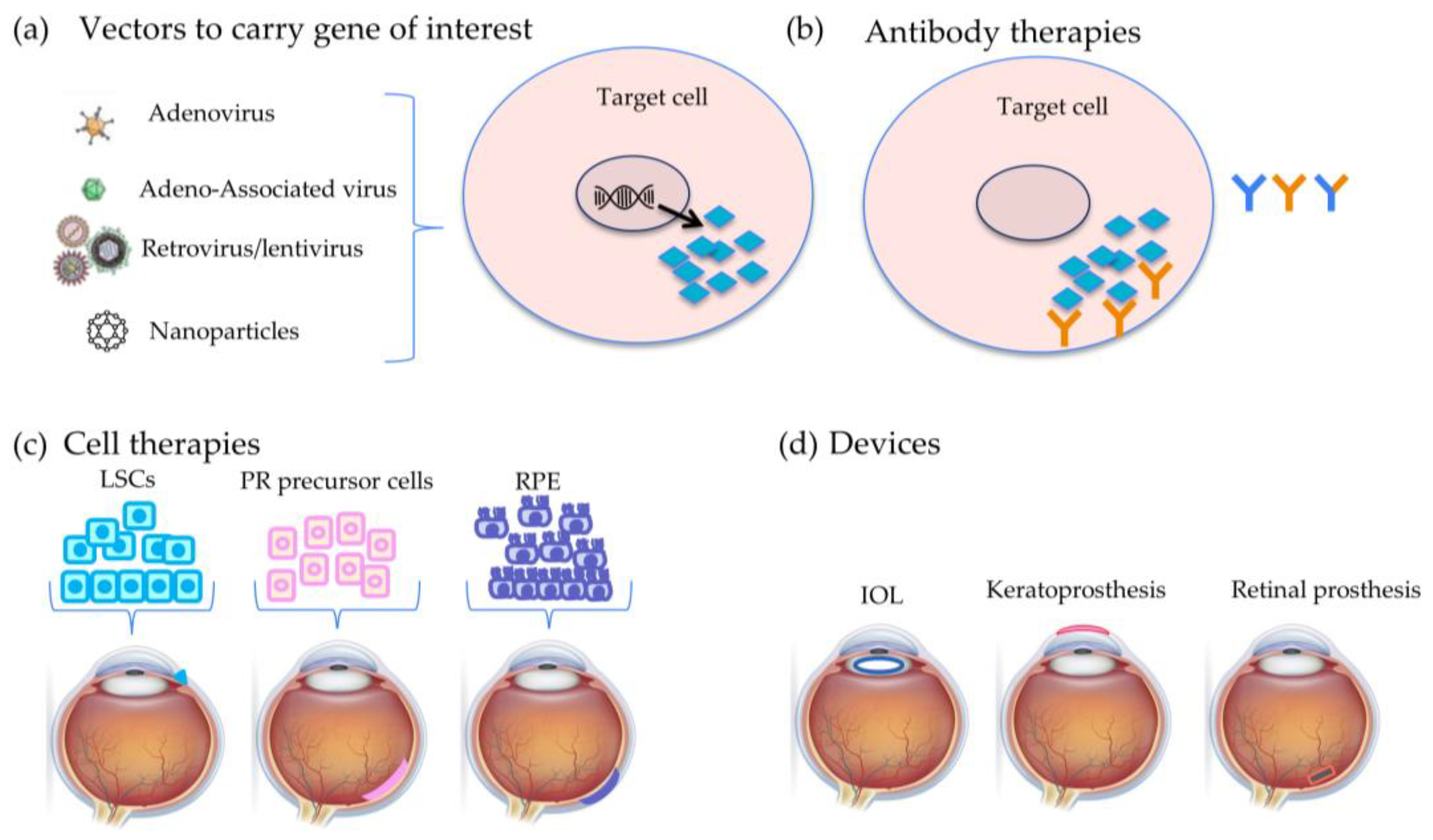 Bioengineering 11 00179 g001 Bioengineering 11 00179 g001