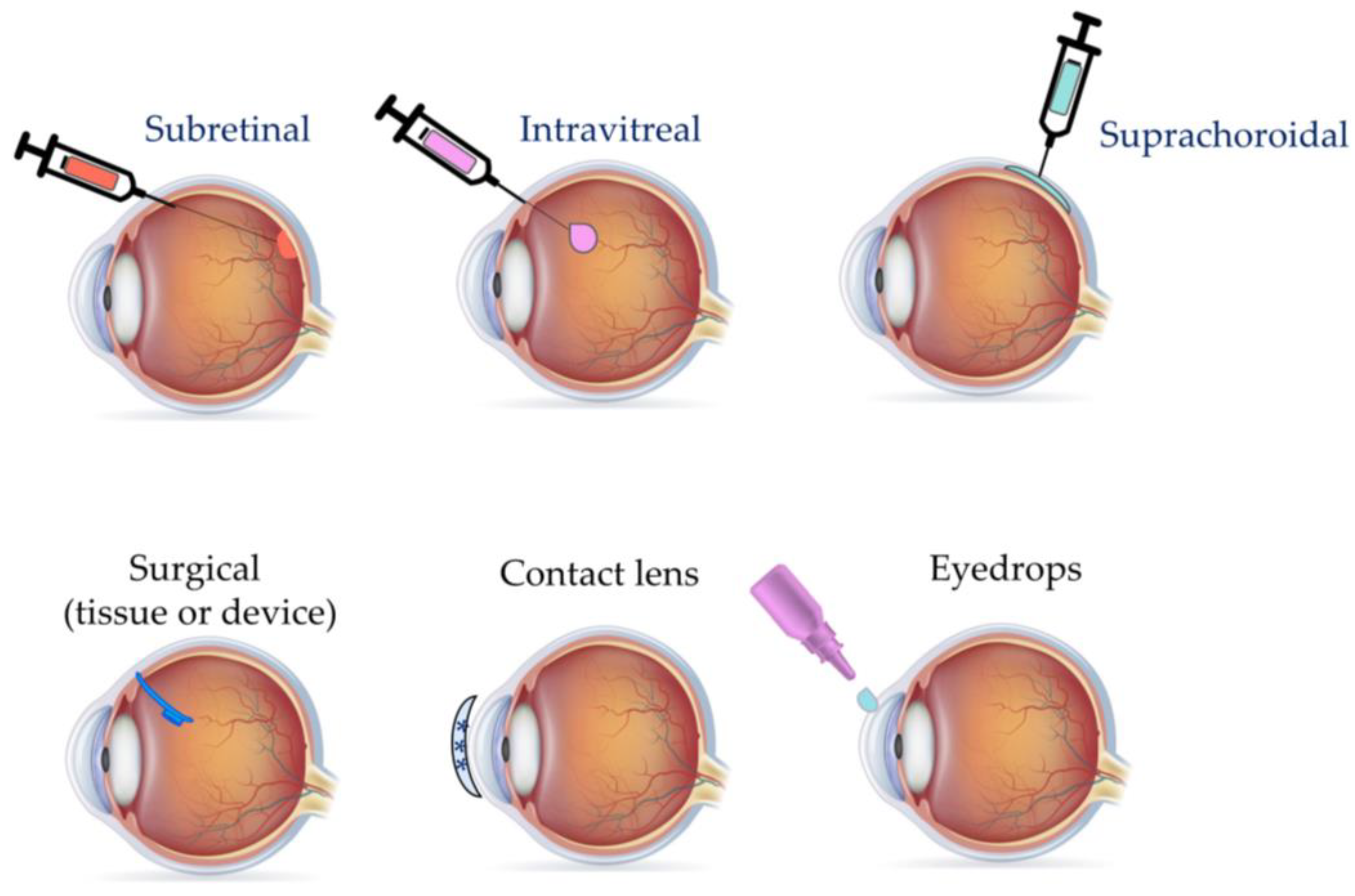 Bioengineering 11 00179 g002 Bioengineering 11 00179 g002