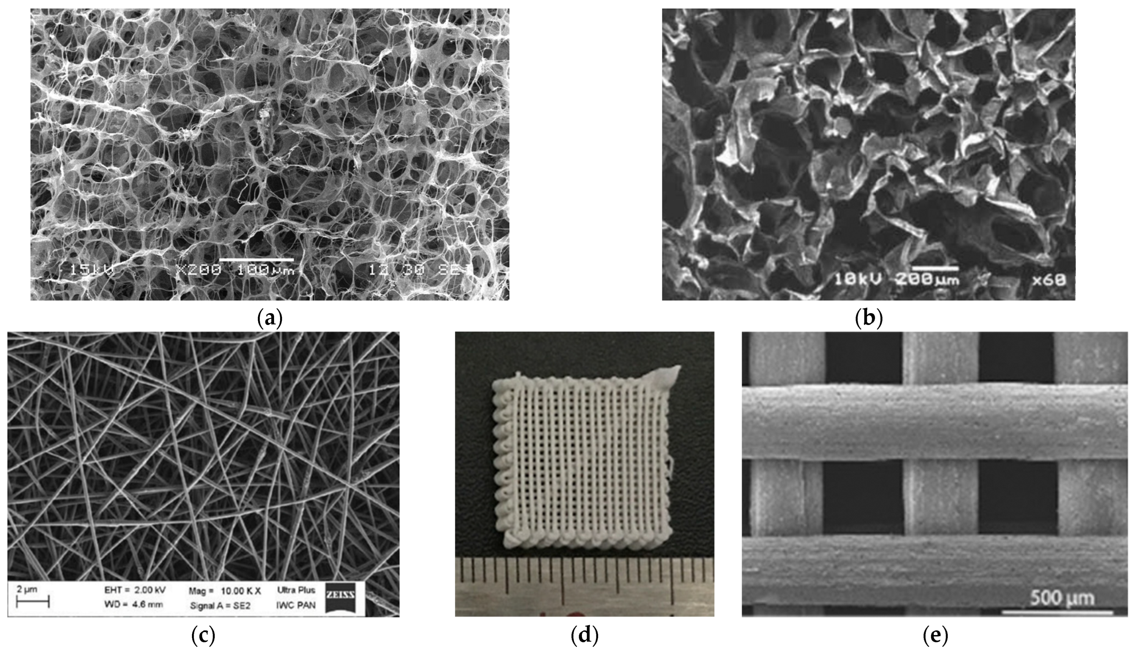Bioengineering 11 00180 g006 Bioengineering 11 00180 g006