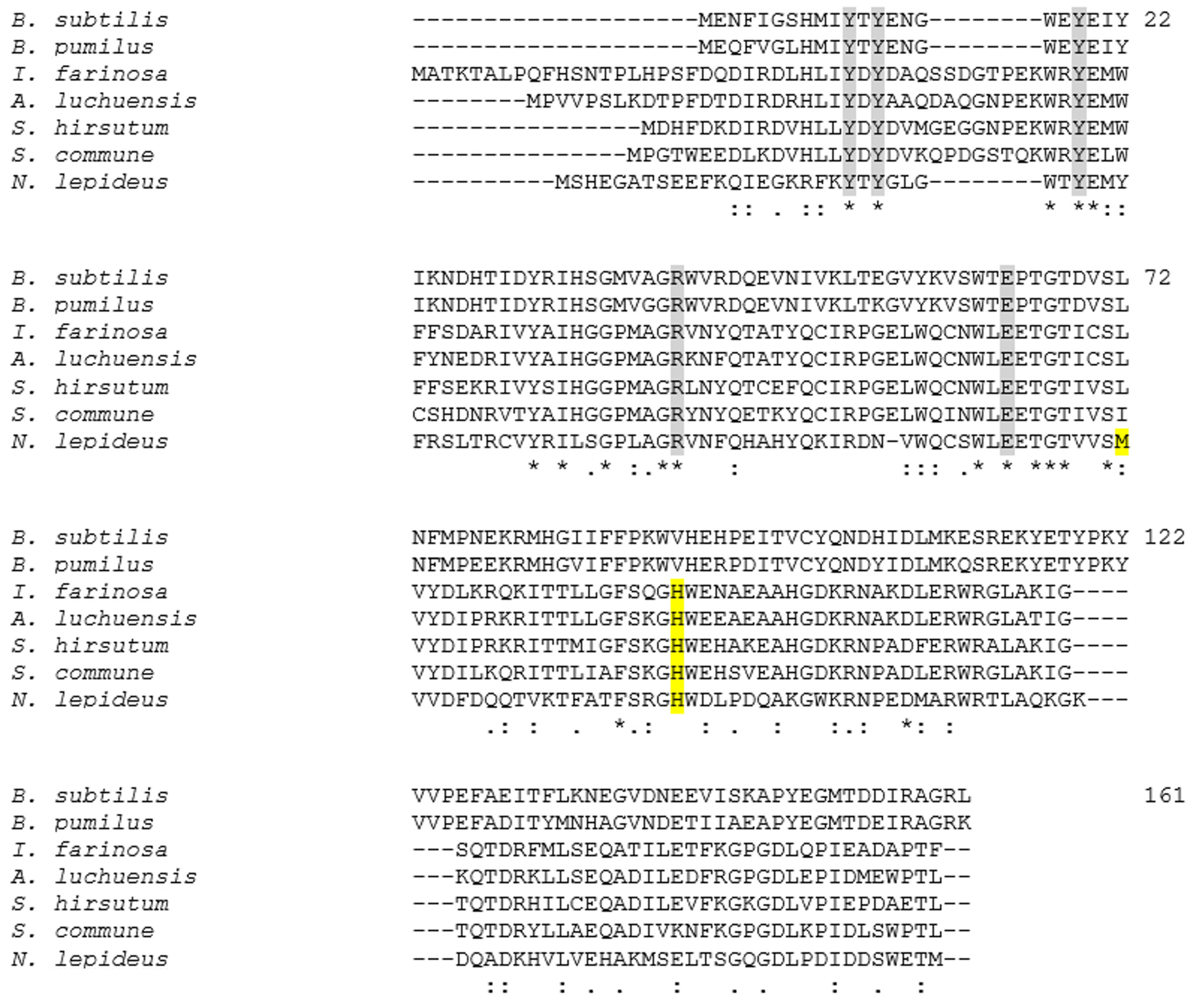 Bioengineering 11 00181 g003