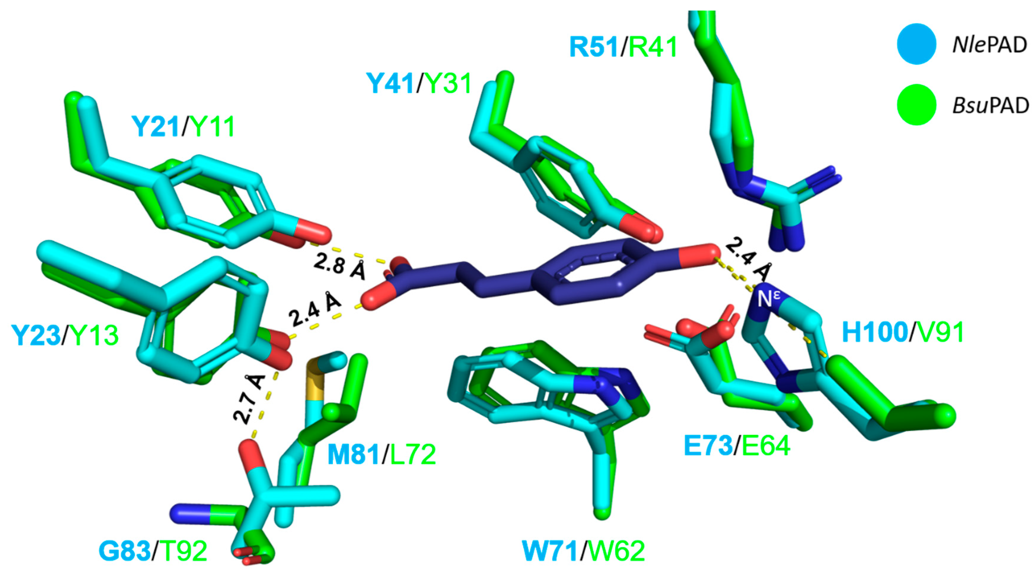 Bioengineering 11 00181 g009